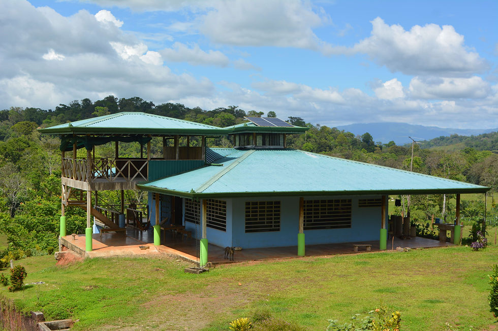 Thumbnail: 3-Bed Home on 96 Acres in Osa Peninsula | 3 Bed / 2 Bath