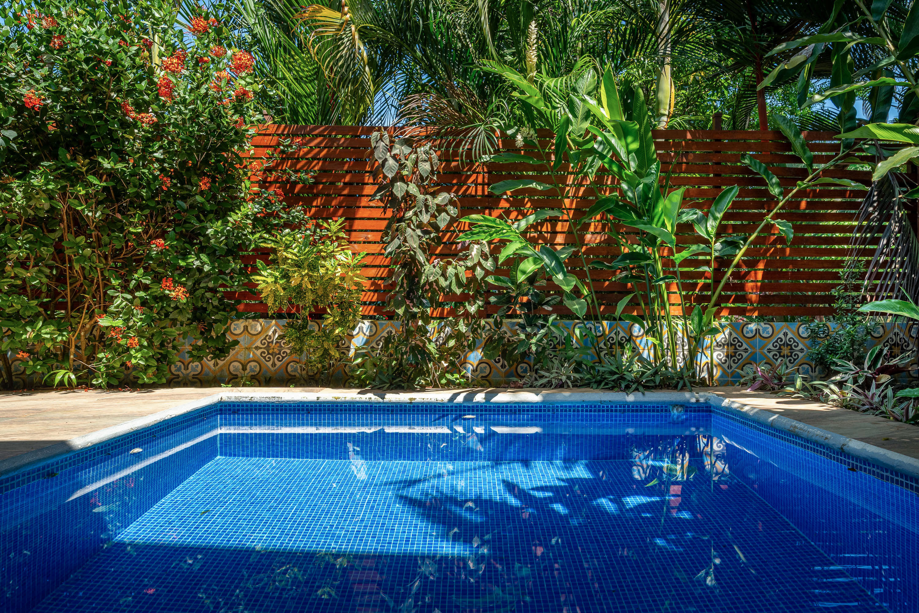 Renovated Villa Near the Beach in Dominical property photo 3