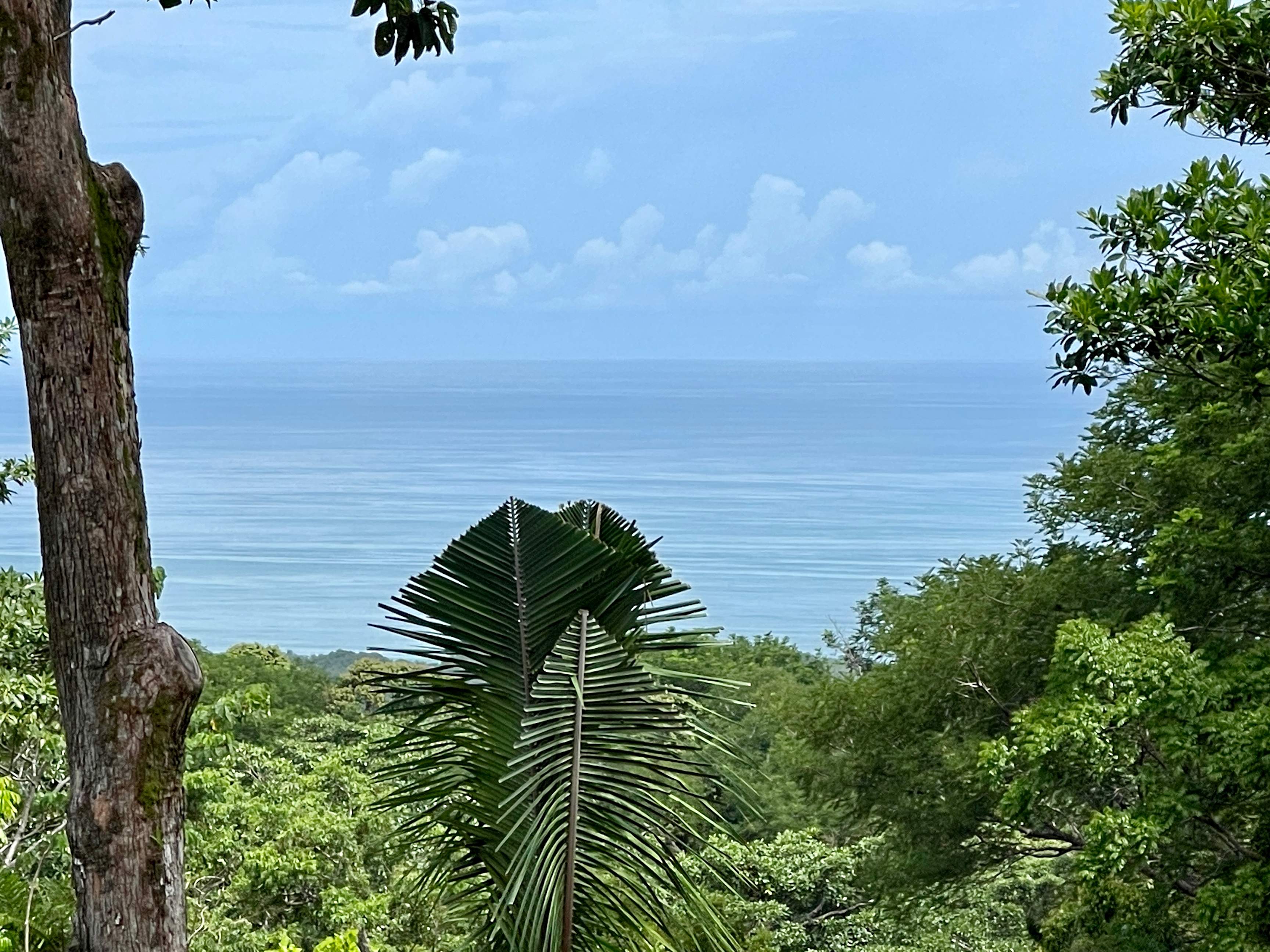 Ocean View Land in a Gated Community, Hatillo property photo 3