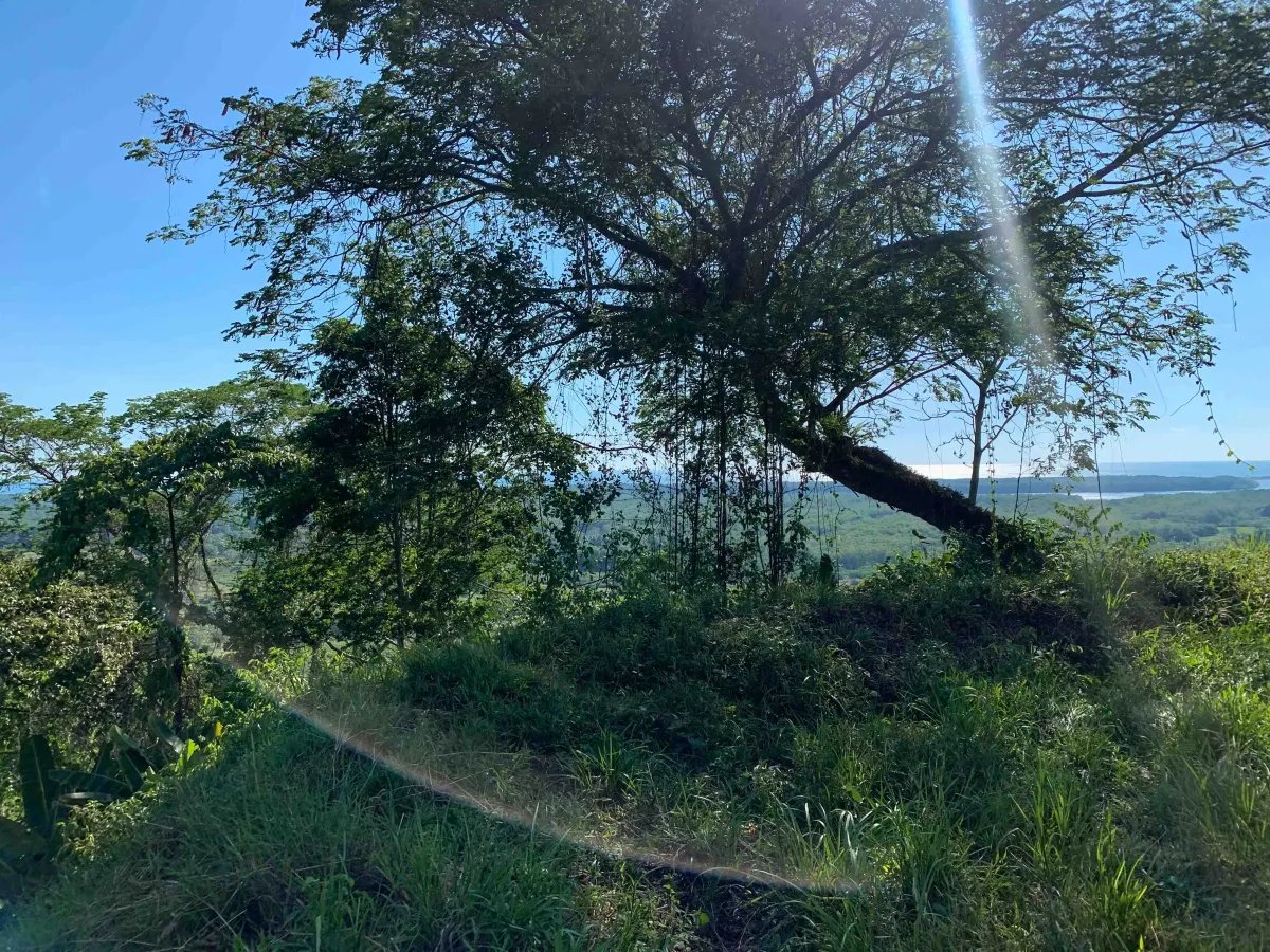 13-Acre Private Land in San Buenas de Osa property photo 4