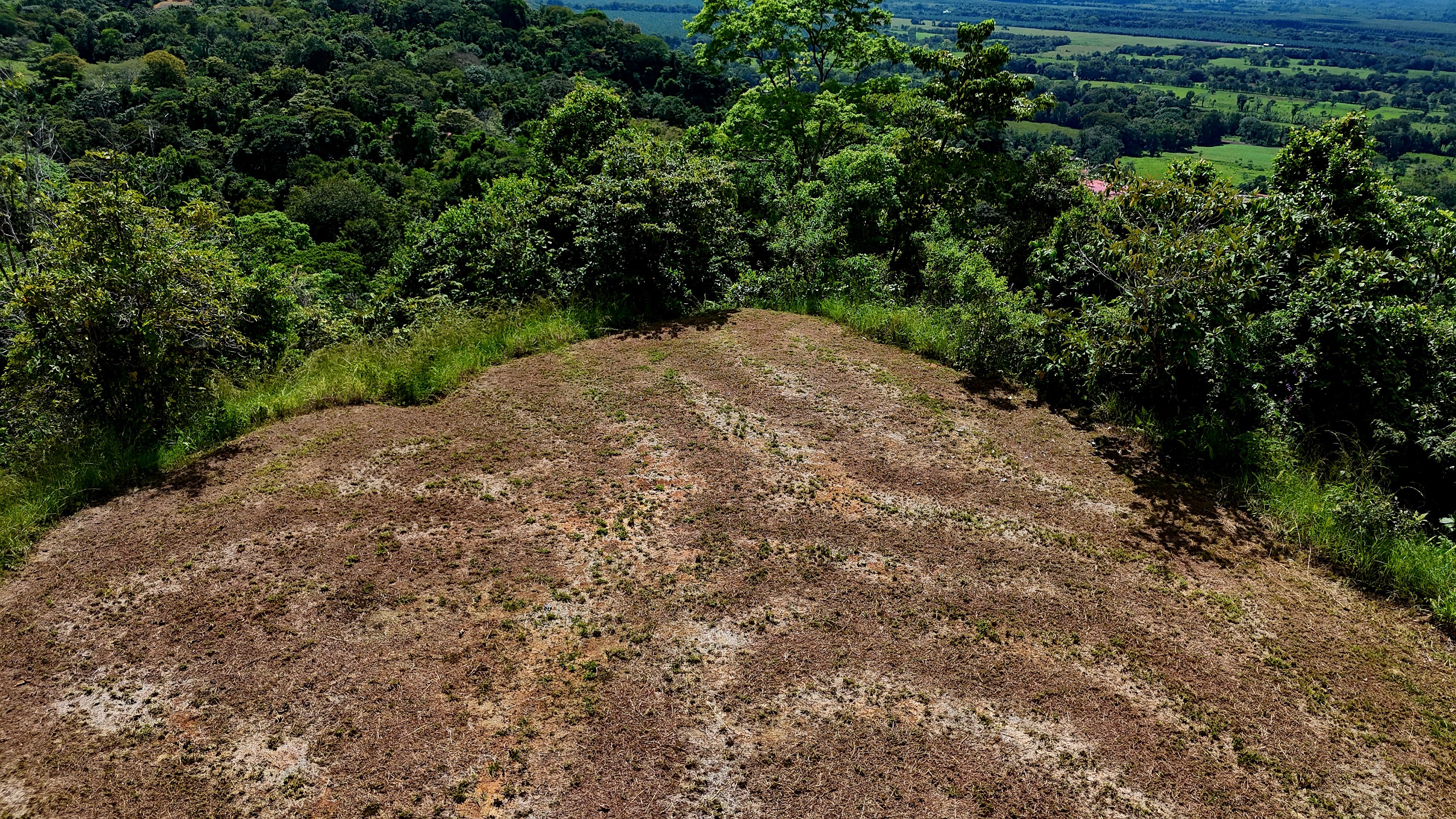 Ocean View Land in Chontales, Osa (Two Adjacent Lots) property photo 3