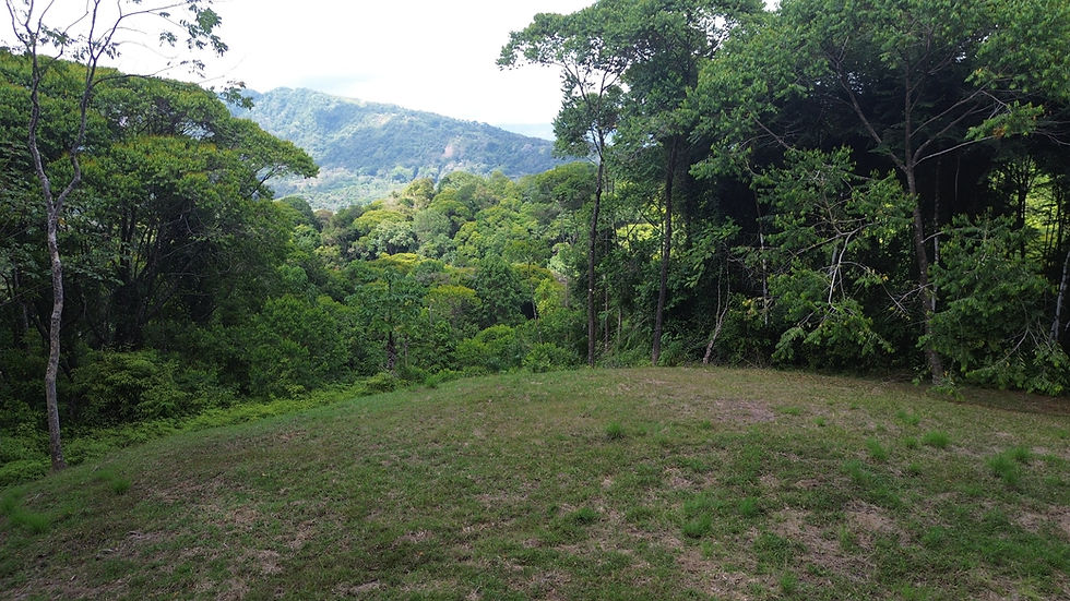 Thumbnail: Retreat in Dominical