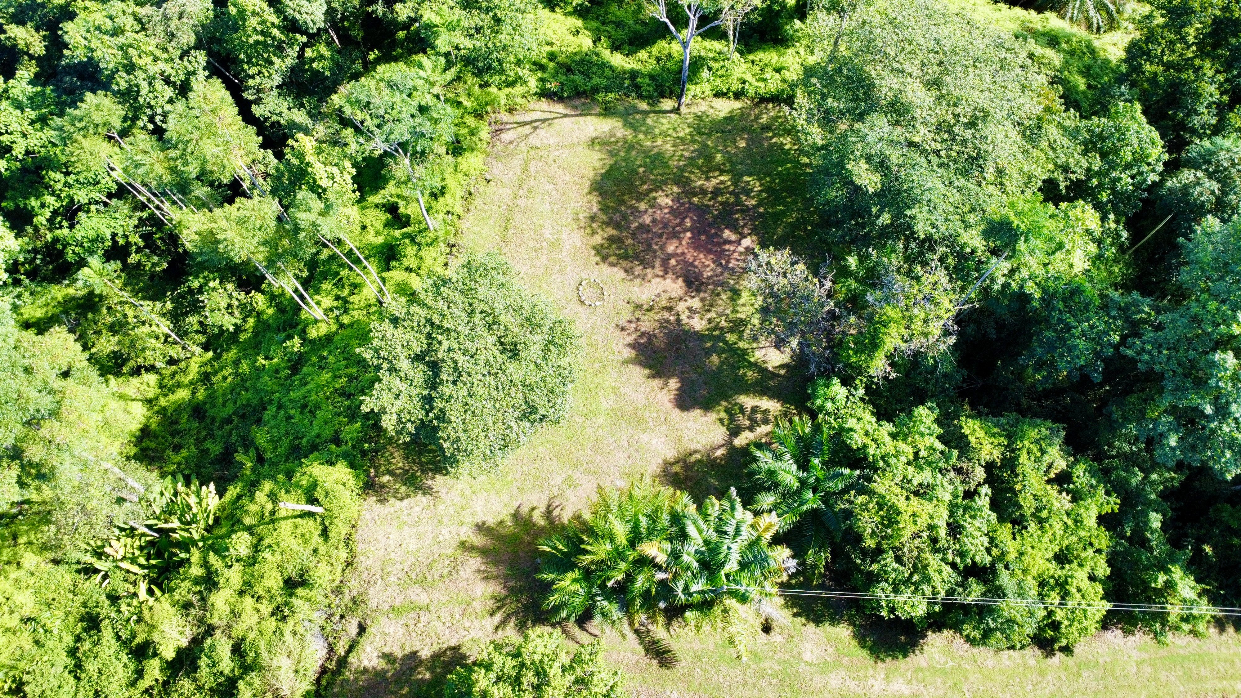 2-Acre Ocean View Lot in Finca Maranon, Ojochal property photo 2