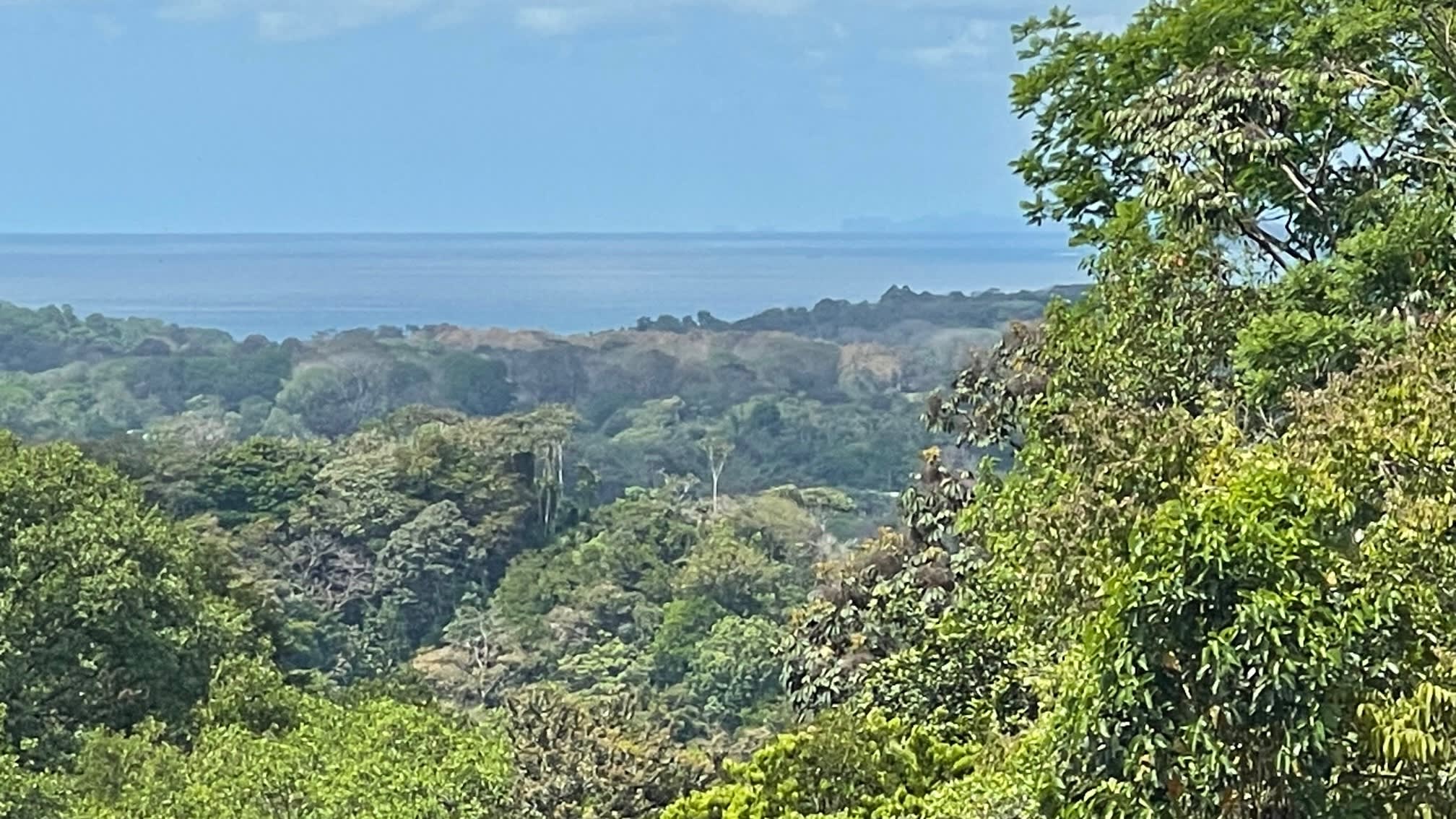 1.5-Acre Ocean View Lot (Lot 34) in Dulce Gated Community, Uvita property photo 4