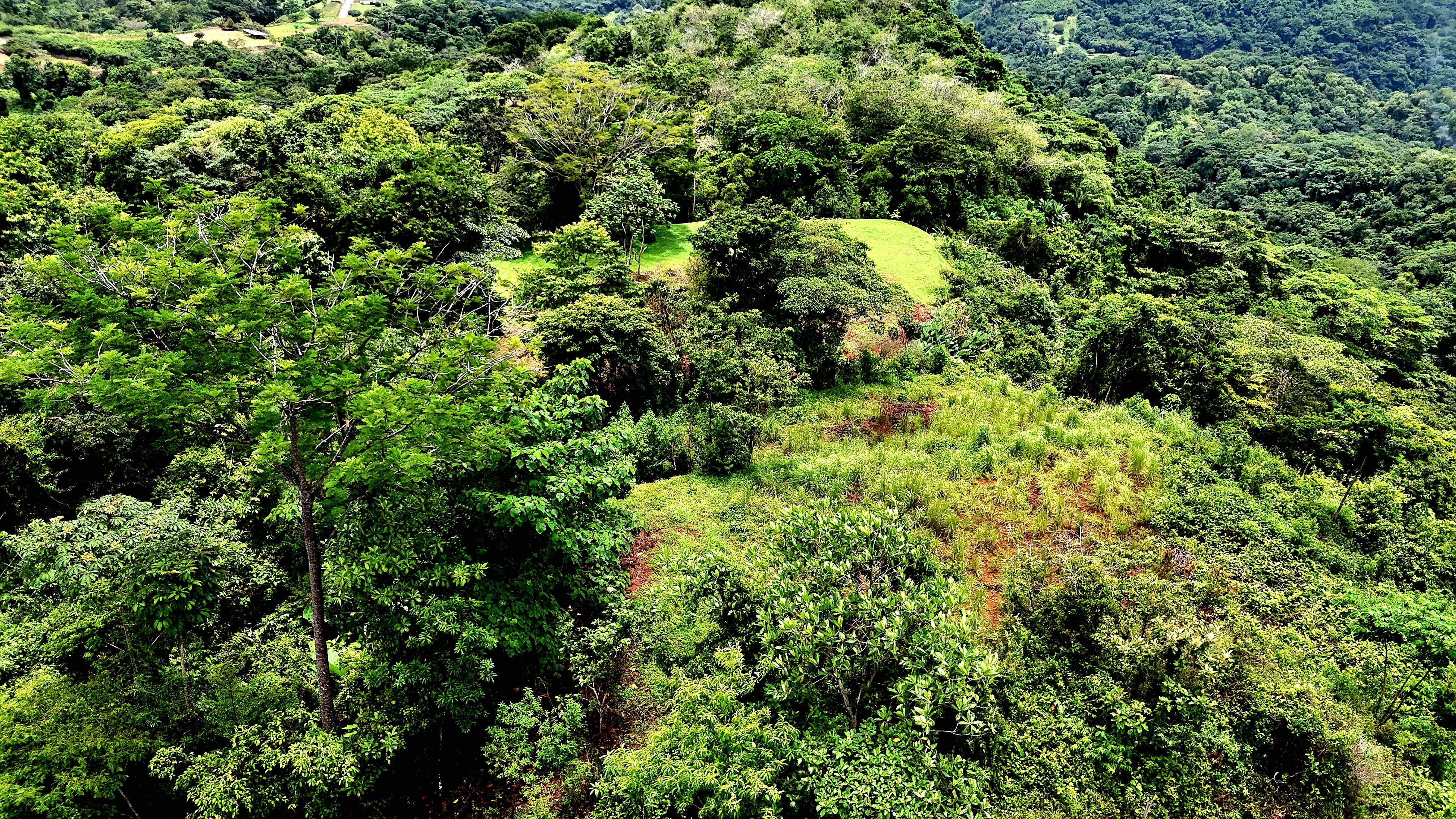 Residential Lots in Costa Azul, Tres Rios de Osa property photo 3
