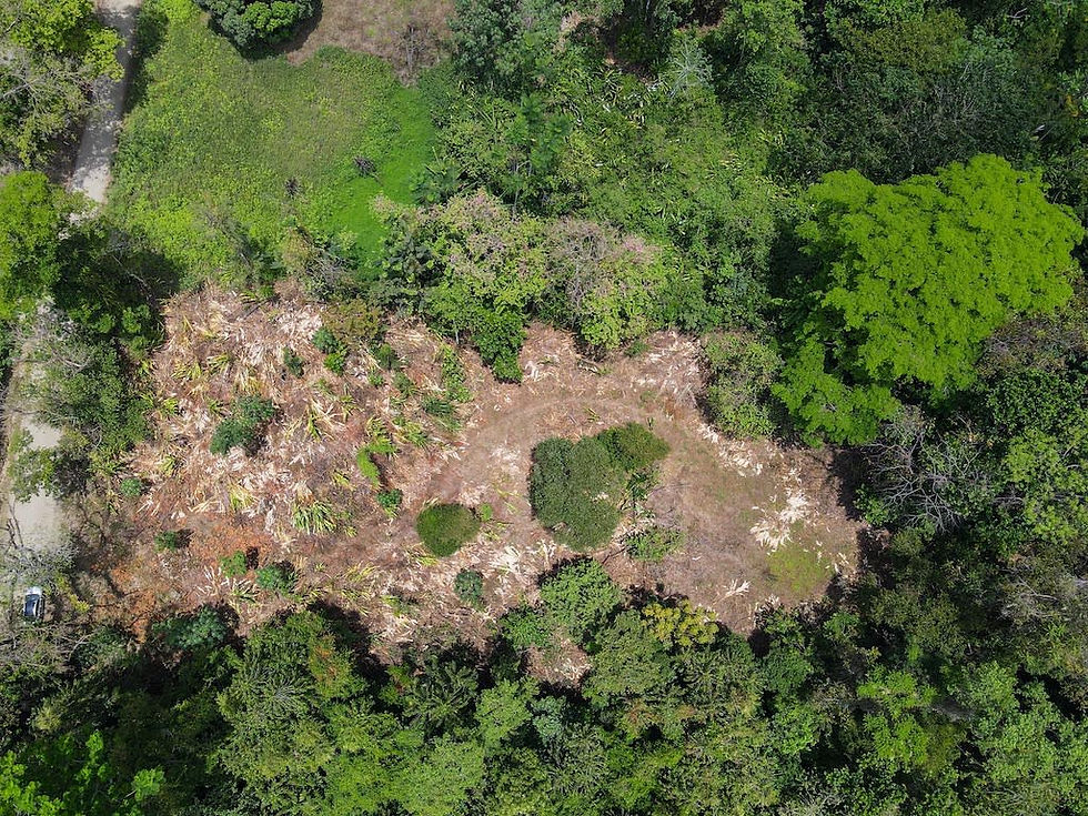 Thumbnail: 3-Acre Mountain View Lot in Ojochal | River Access