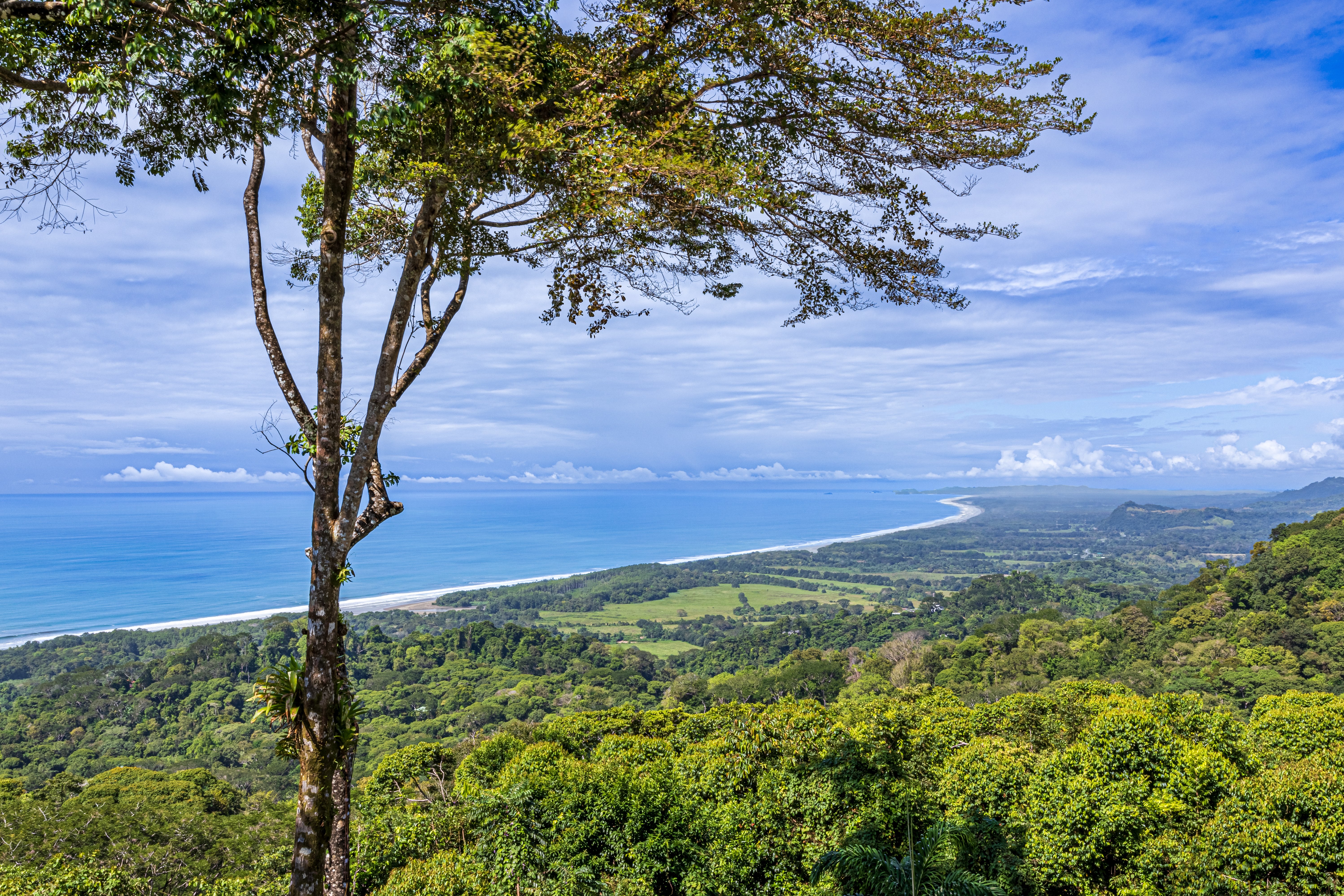 180-Degree Ocean View Estate in Lagunas, Dominical property photo 4