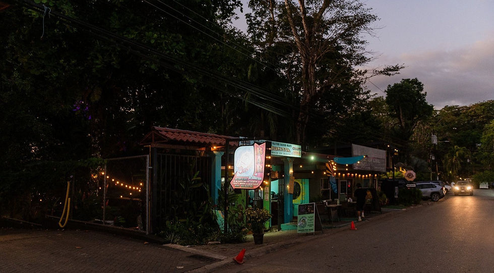 Thumbnail: Turnkey Commercial Property in Dominical | 6 Bed