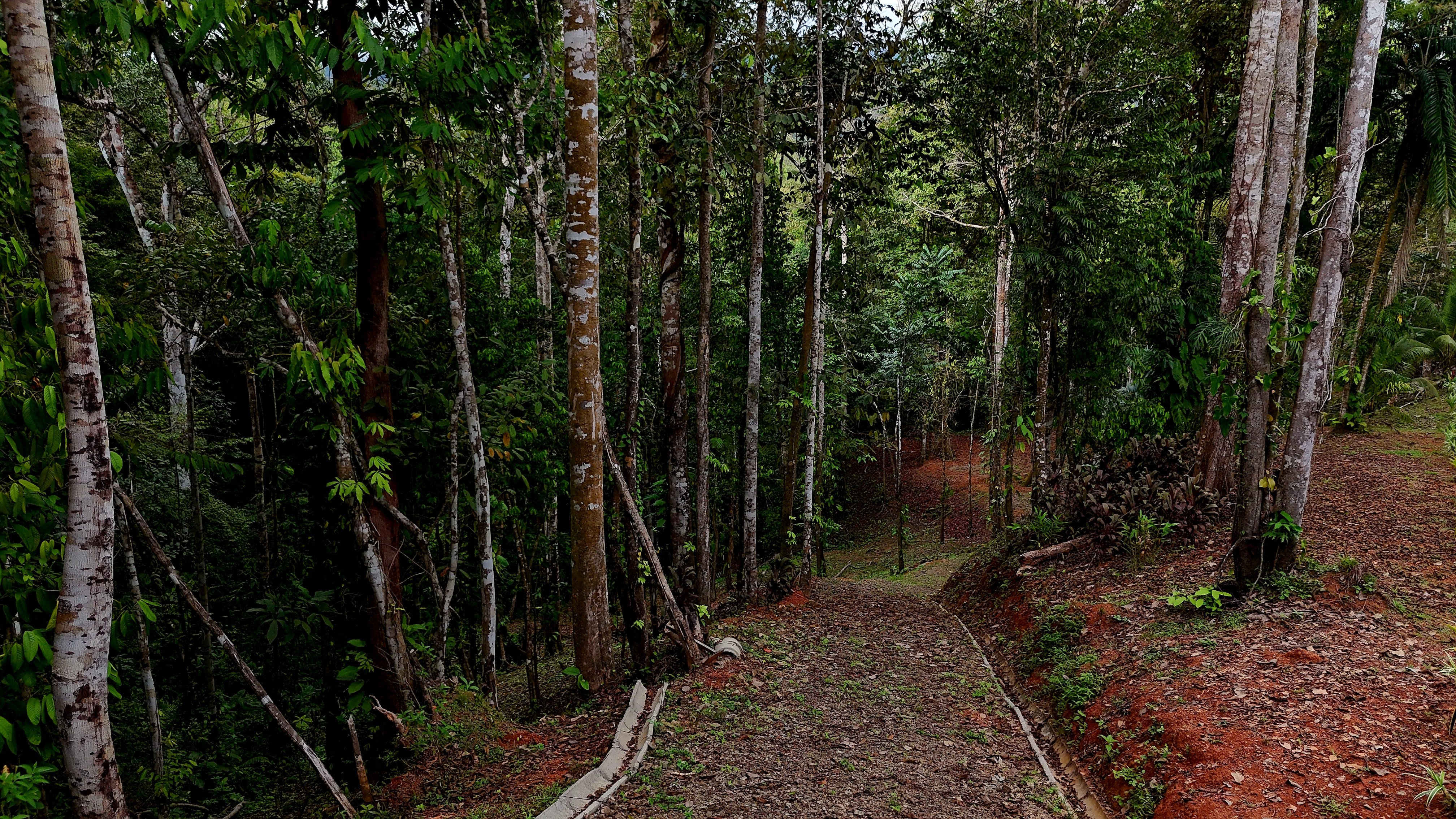 3.75-Acre Jungle Lot in Ventanas de Osa in Ojochal, Costa Rica