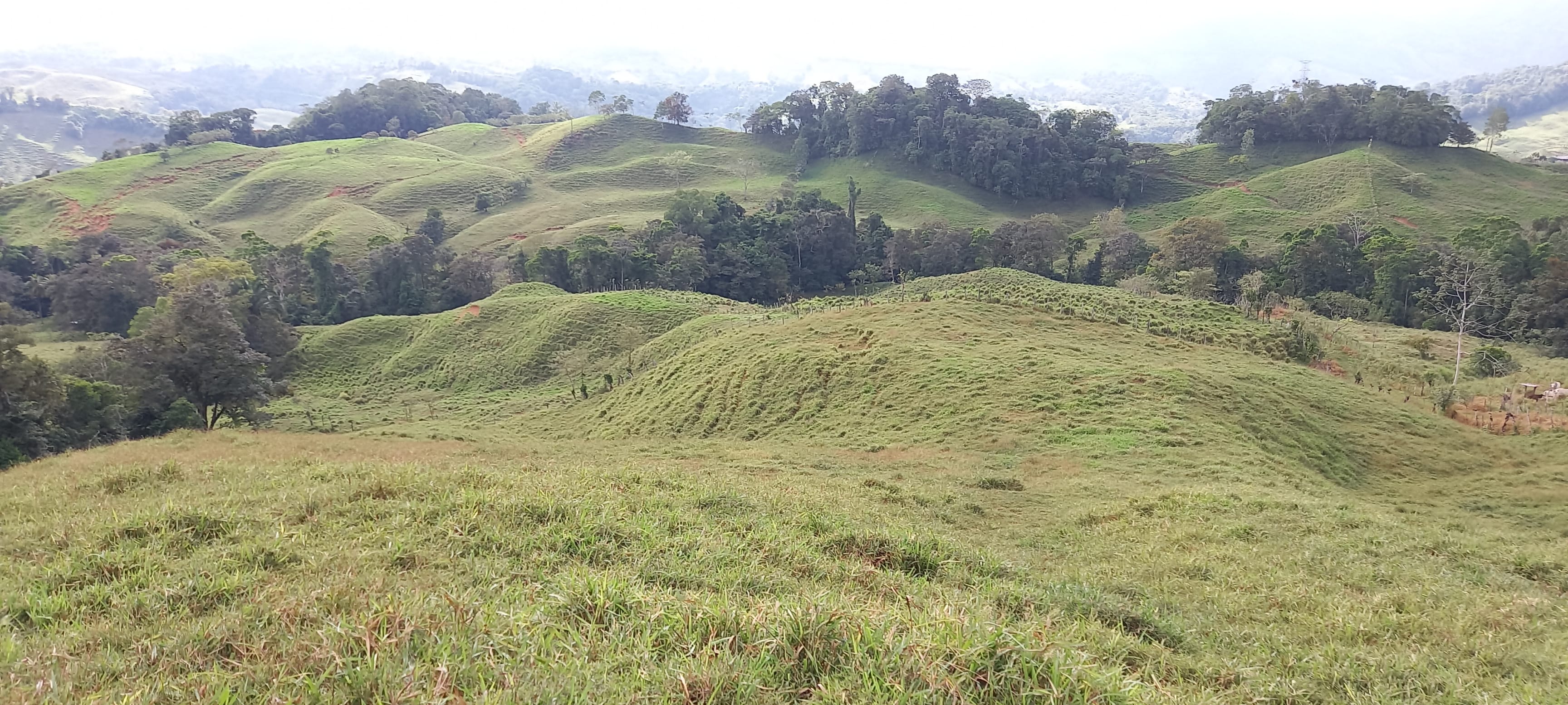 38-Acre Ranch in San Juan de Dios property photo 3