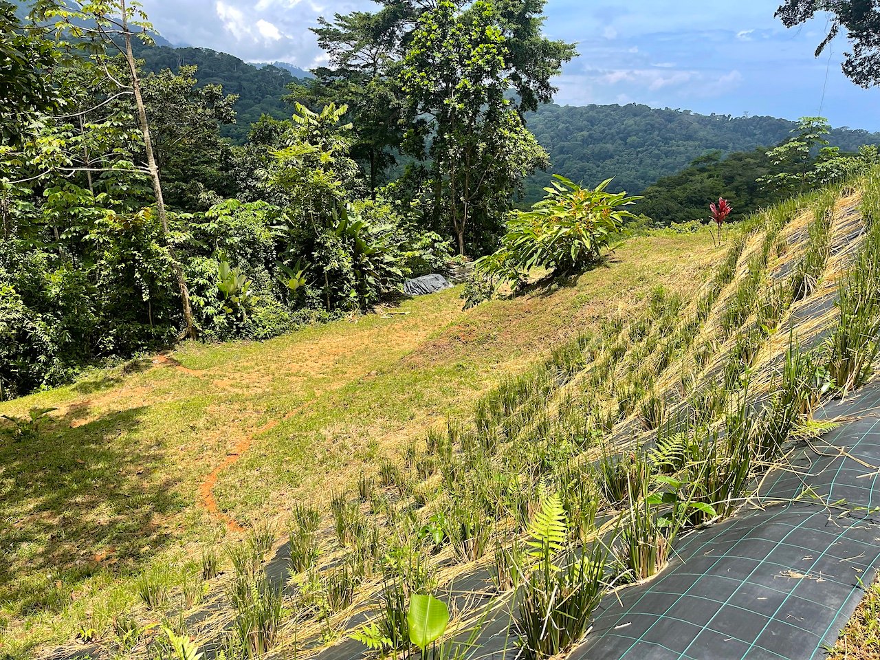 25-Acre Development Land in Uvita property photo 5