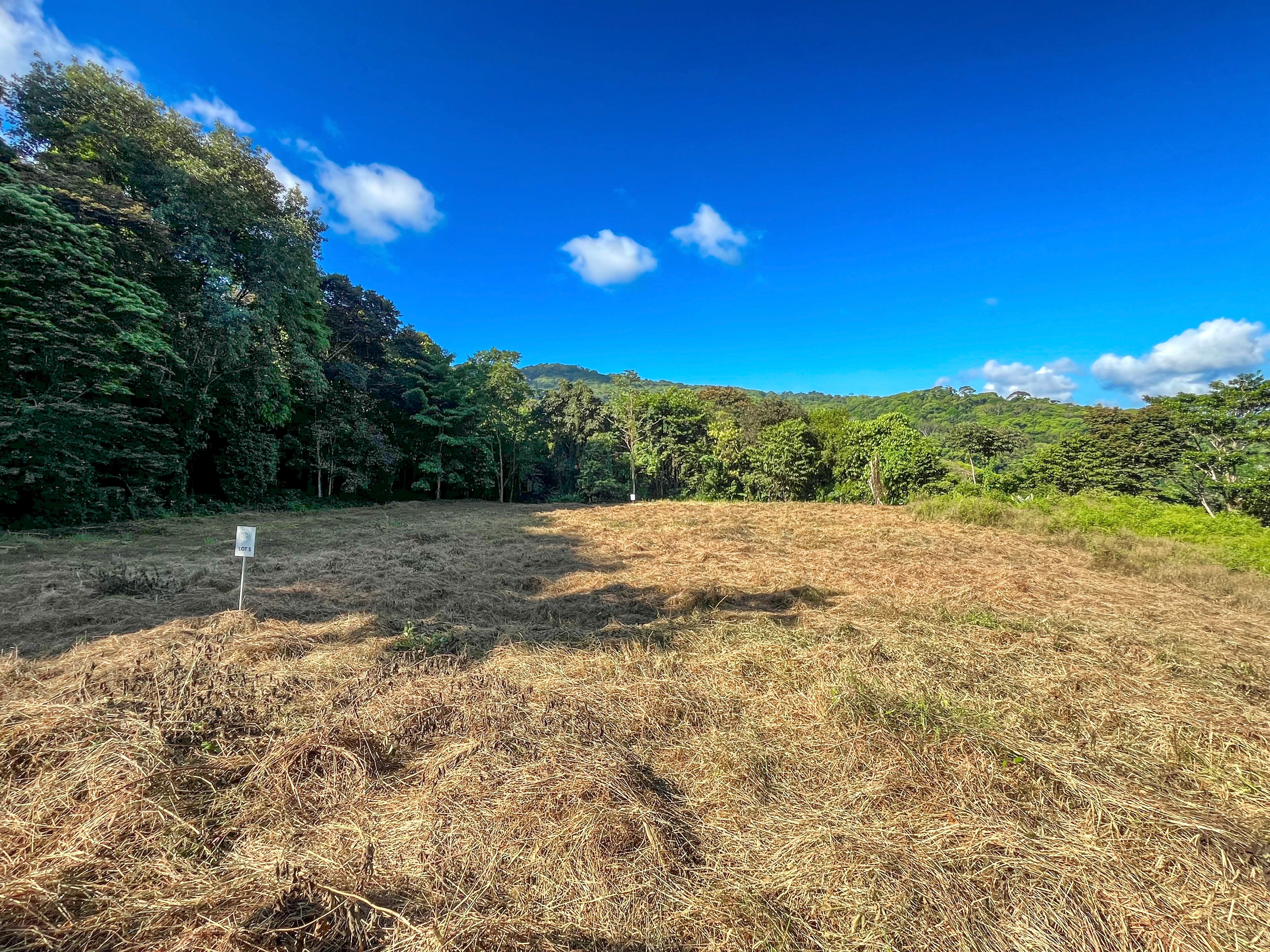 7-Acre Unrestricted Land in Pura Vida Falls, Dominical property photo 3