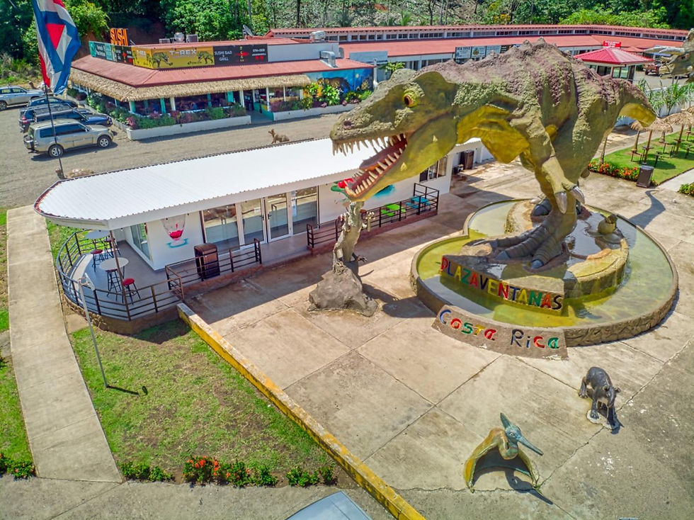 Thumbnail: Turnkey Gas Station & Commercial Lot in Ojochal | Highway Frontage