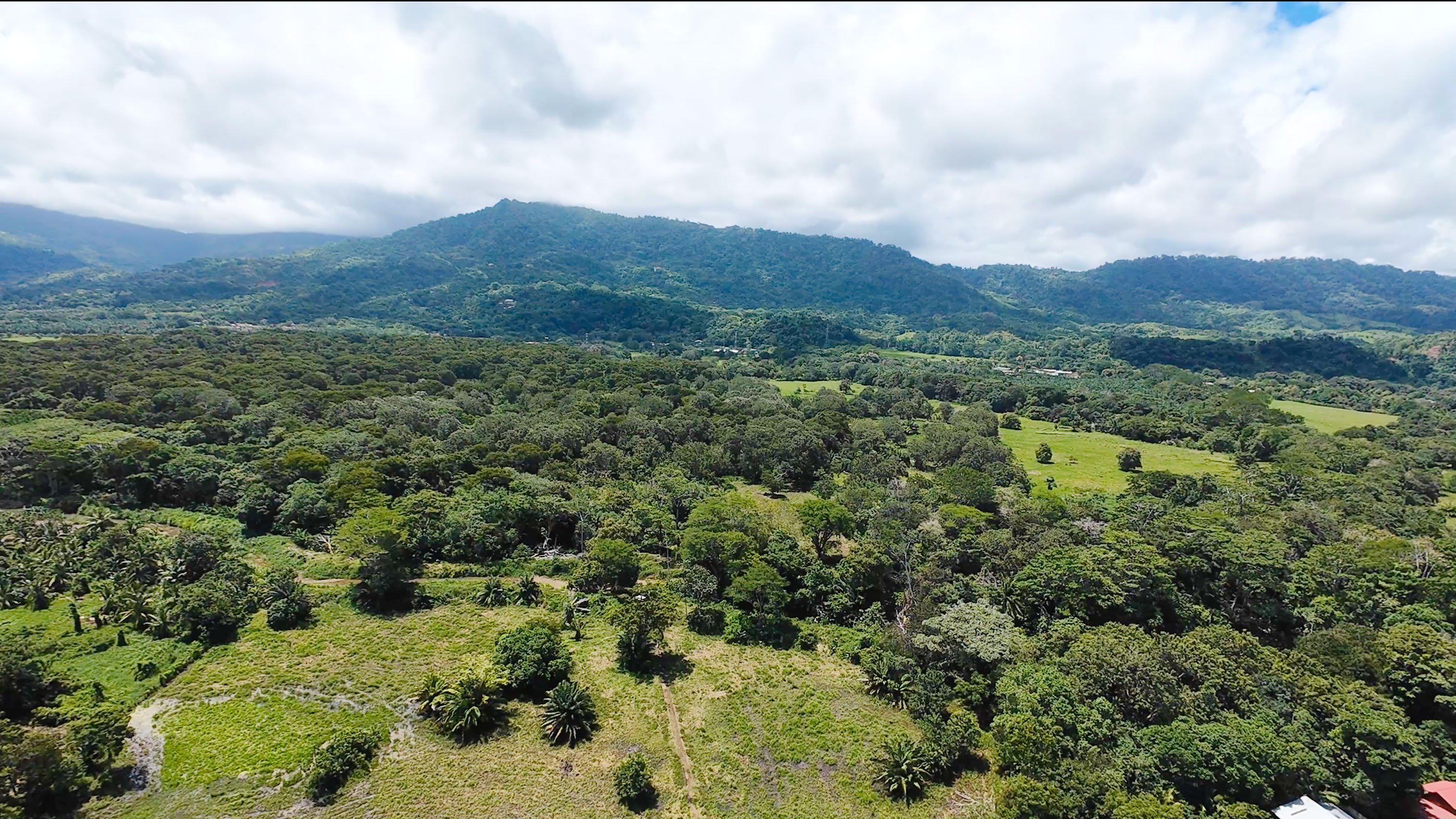81-Acre Beach Access Land in Matapalo property photo