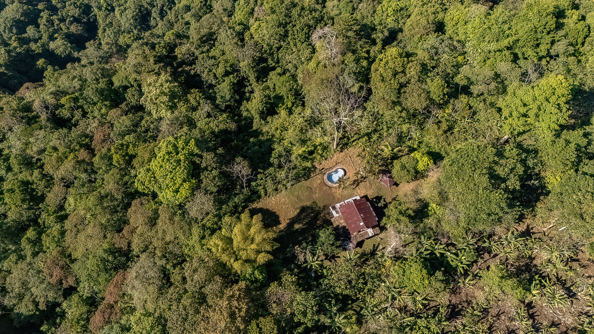 93-Acre Off-Grid Farm in Aguas Buenas, Uvita property photo 3