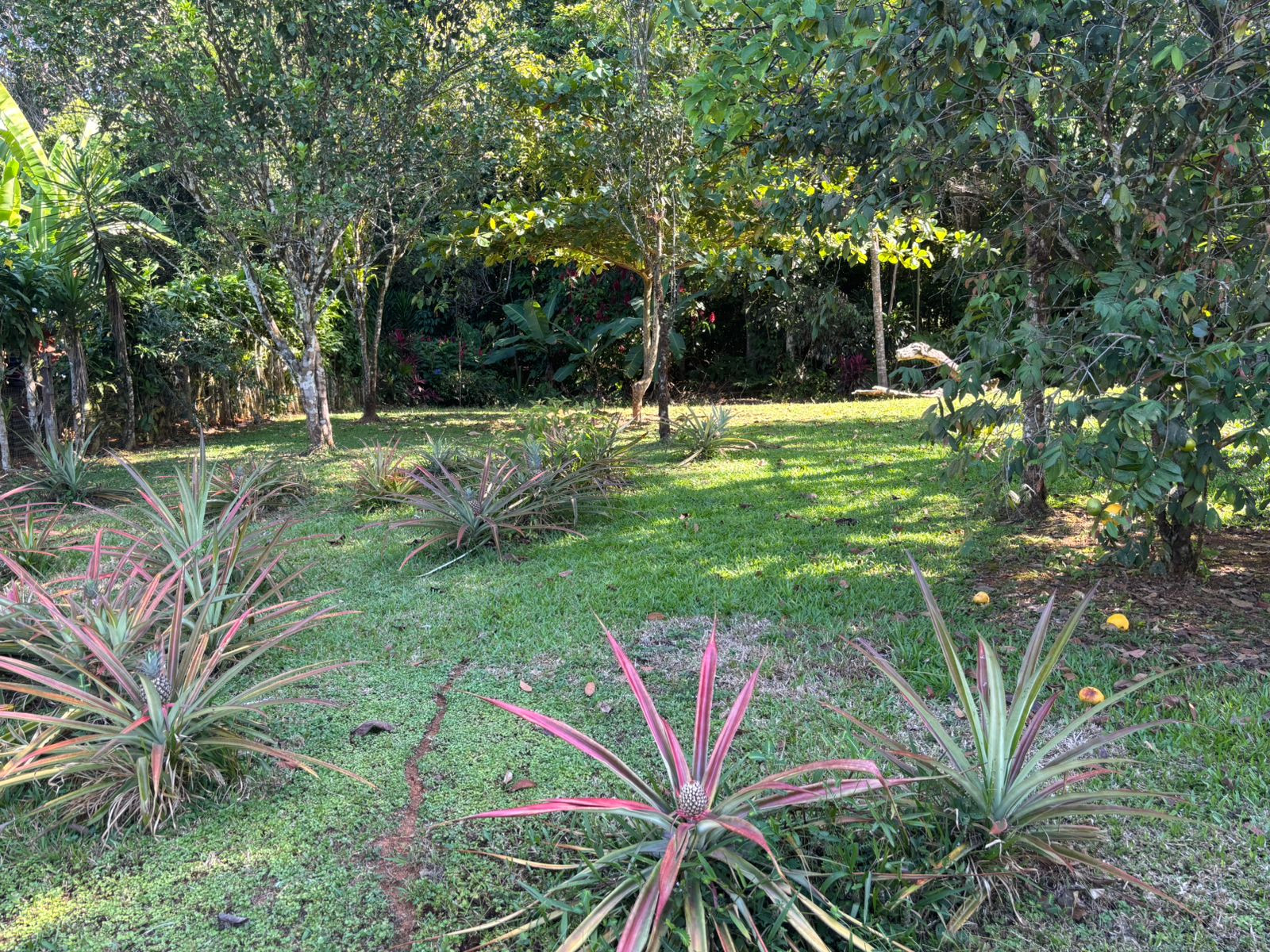 Tropical Home in Villa Nueva de Quepos in Quepos, Costa Rica