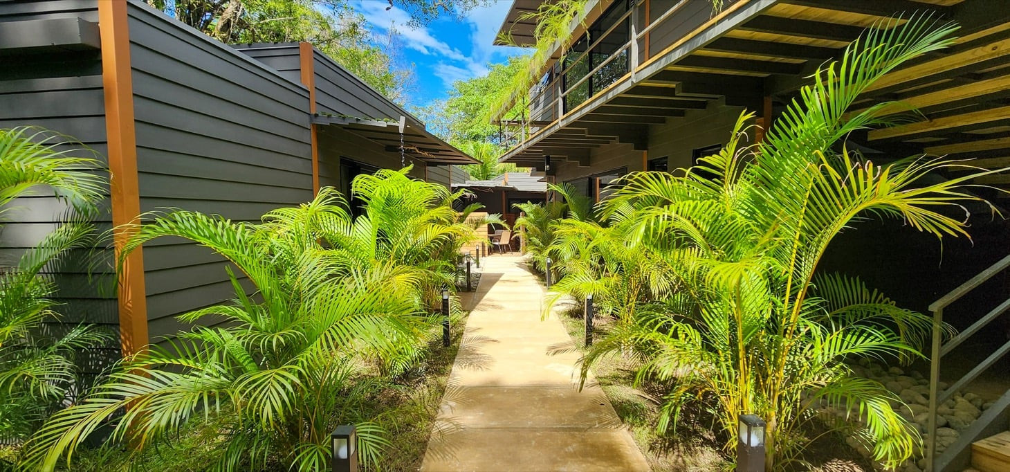 Boutique Hotel in Ojochal property photo 3