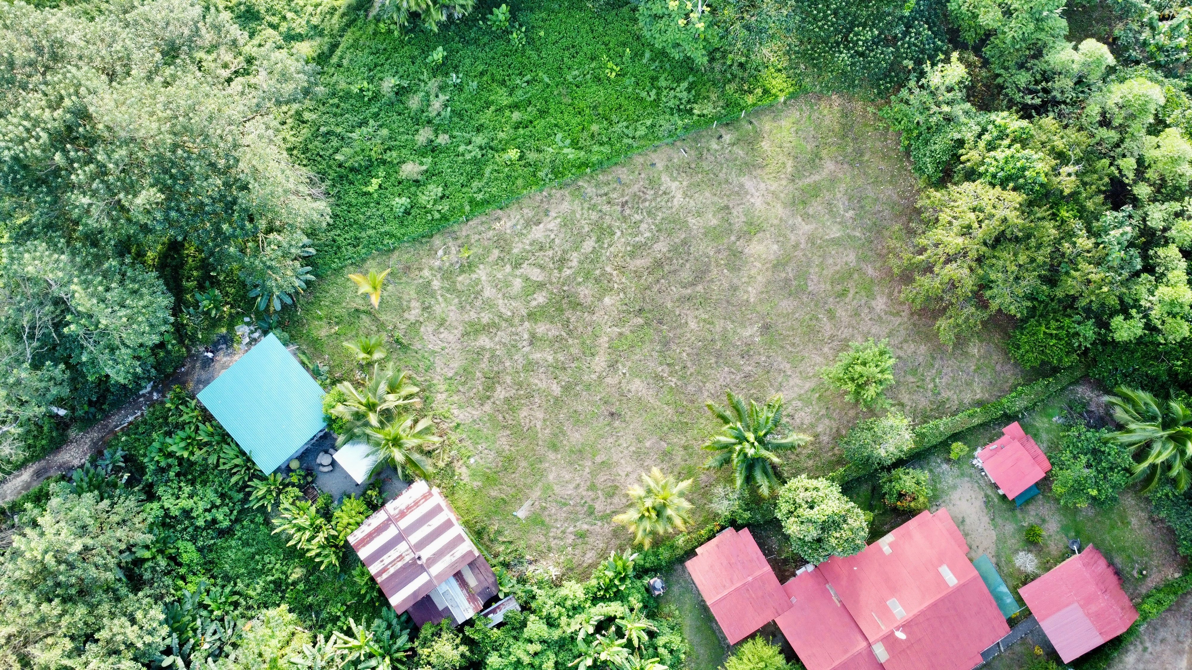 Half-Acre Lot Near the Beach in Uvita property photo 4