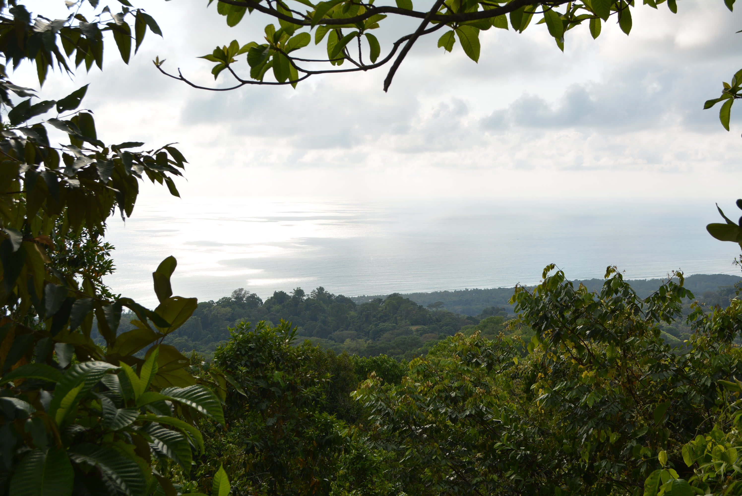 5 Building Lots in Lagunas, Near Dominical in Dominical, Costa Rica