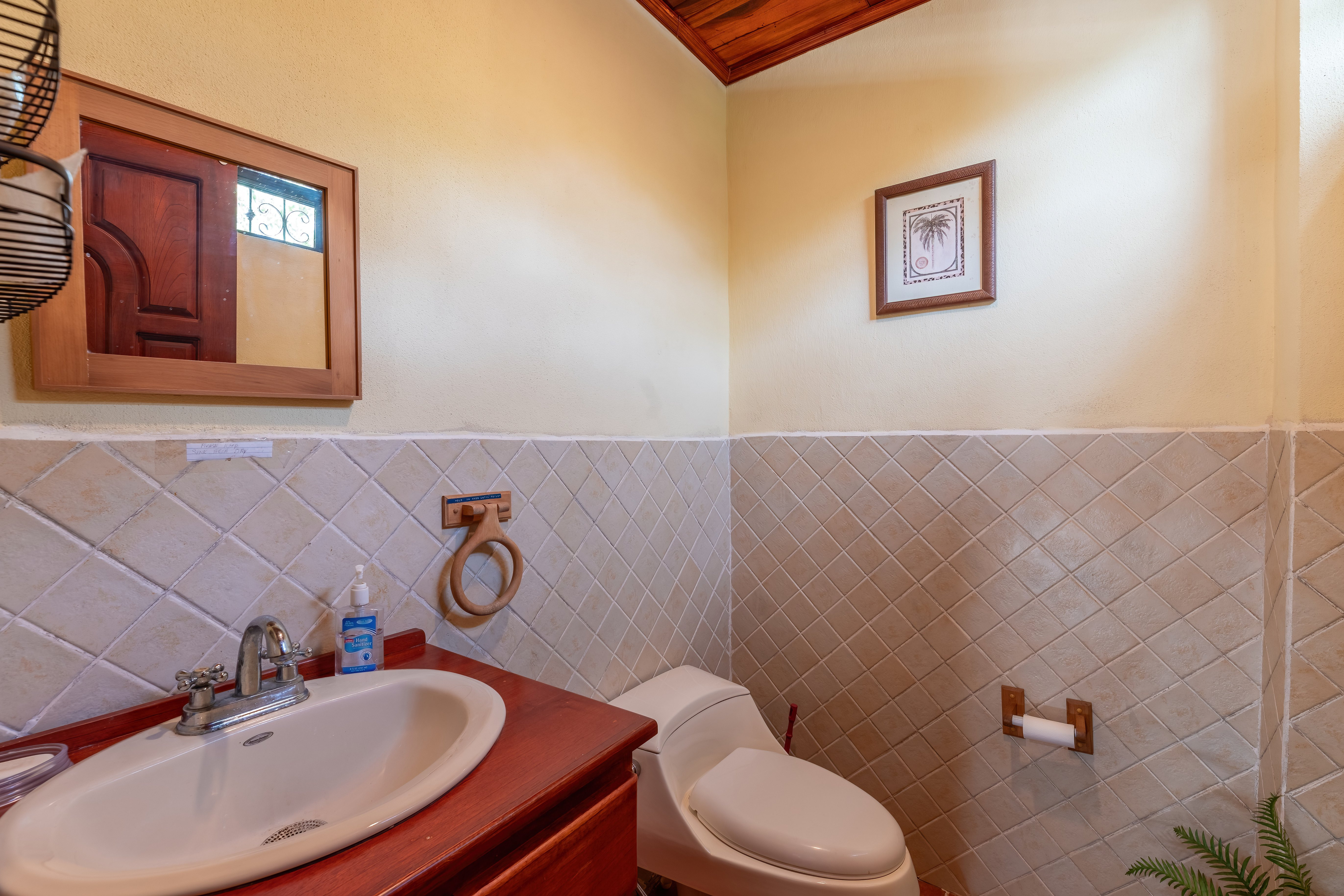 Colonial-Style Home in Tinamastes property photo 3