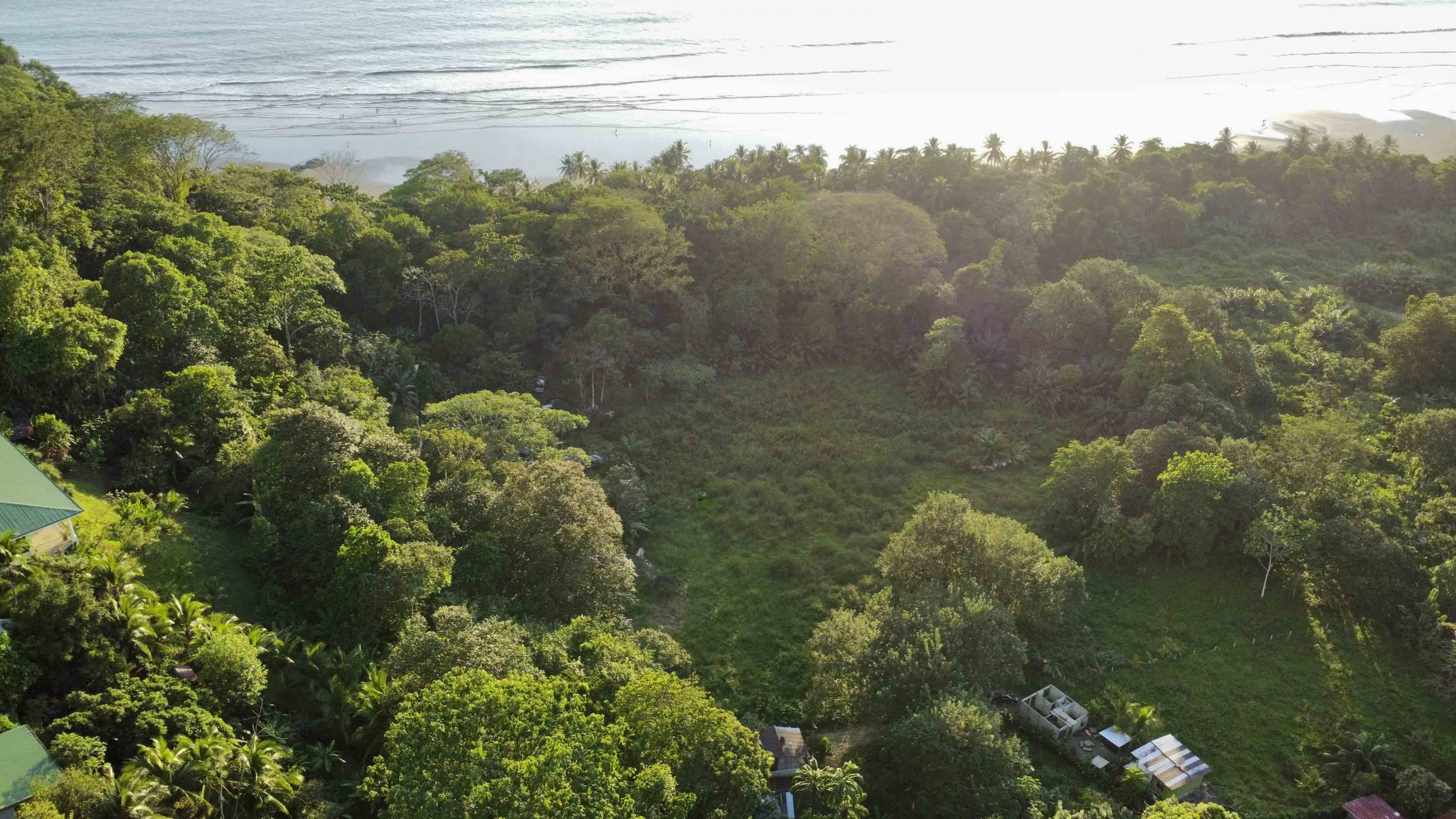 Titled Beachside Land in Uvita property photo 3