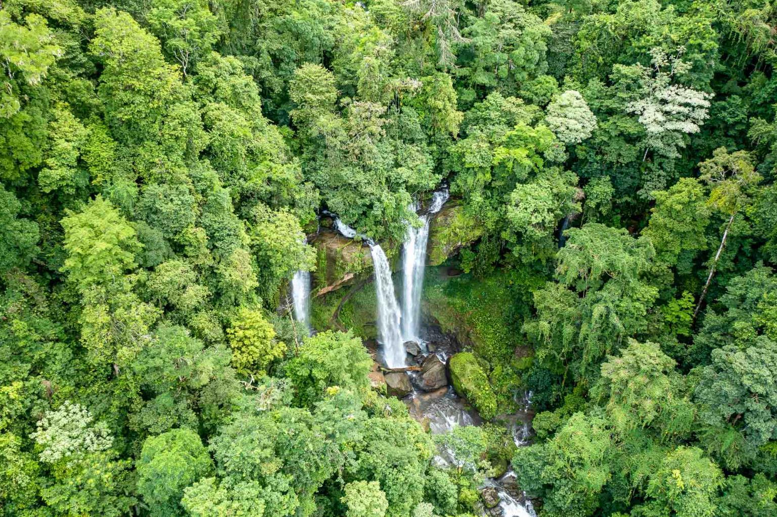 150-Acre Waterfall Farm Near Tinamaste property photo 3