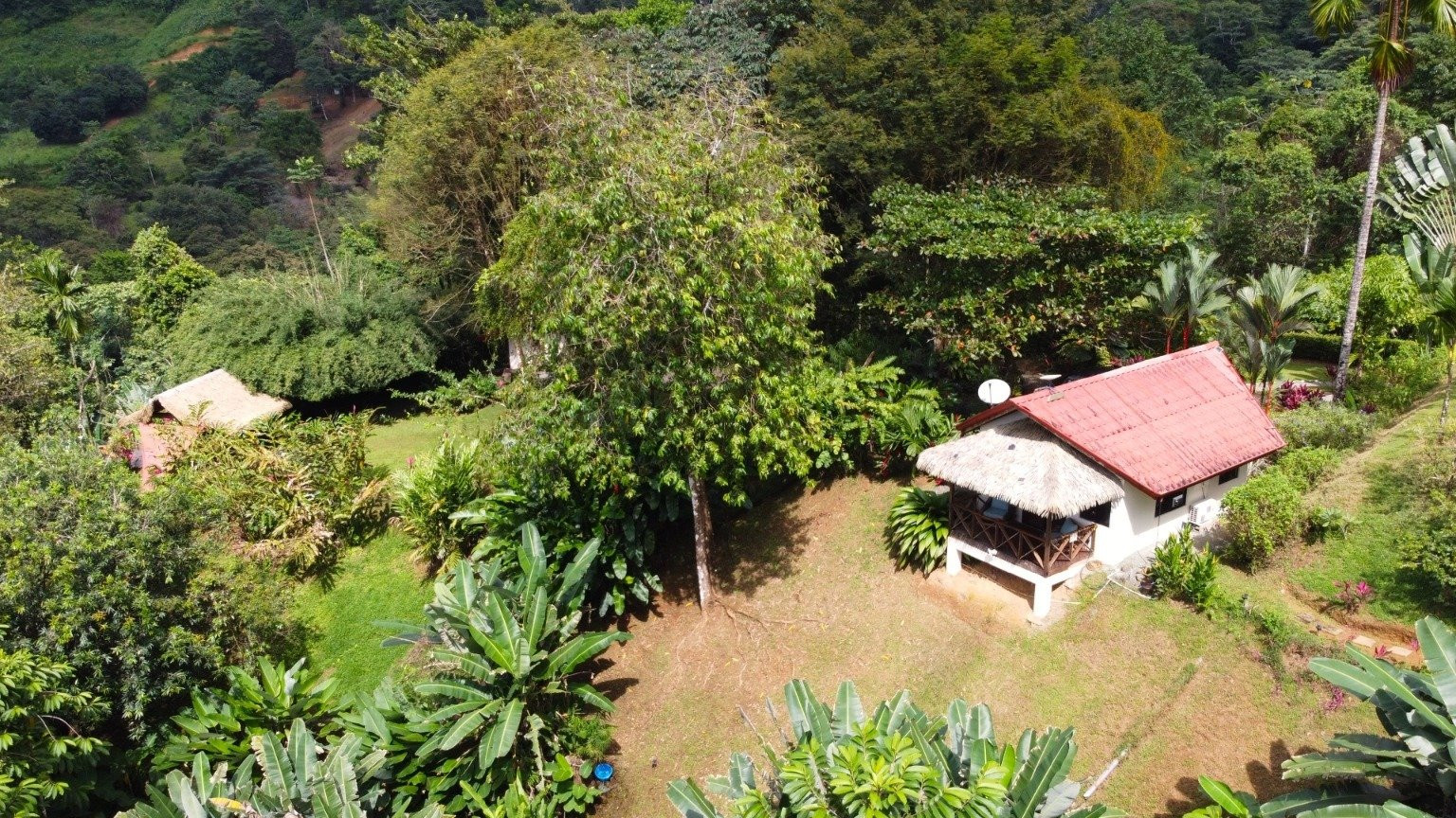 3.5-Acre Ocean View Land in Vergel, Above Ojochal property photo 5