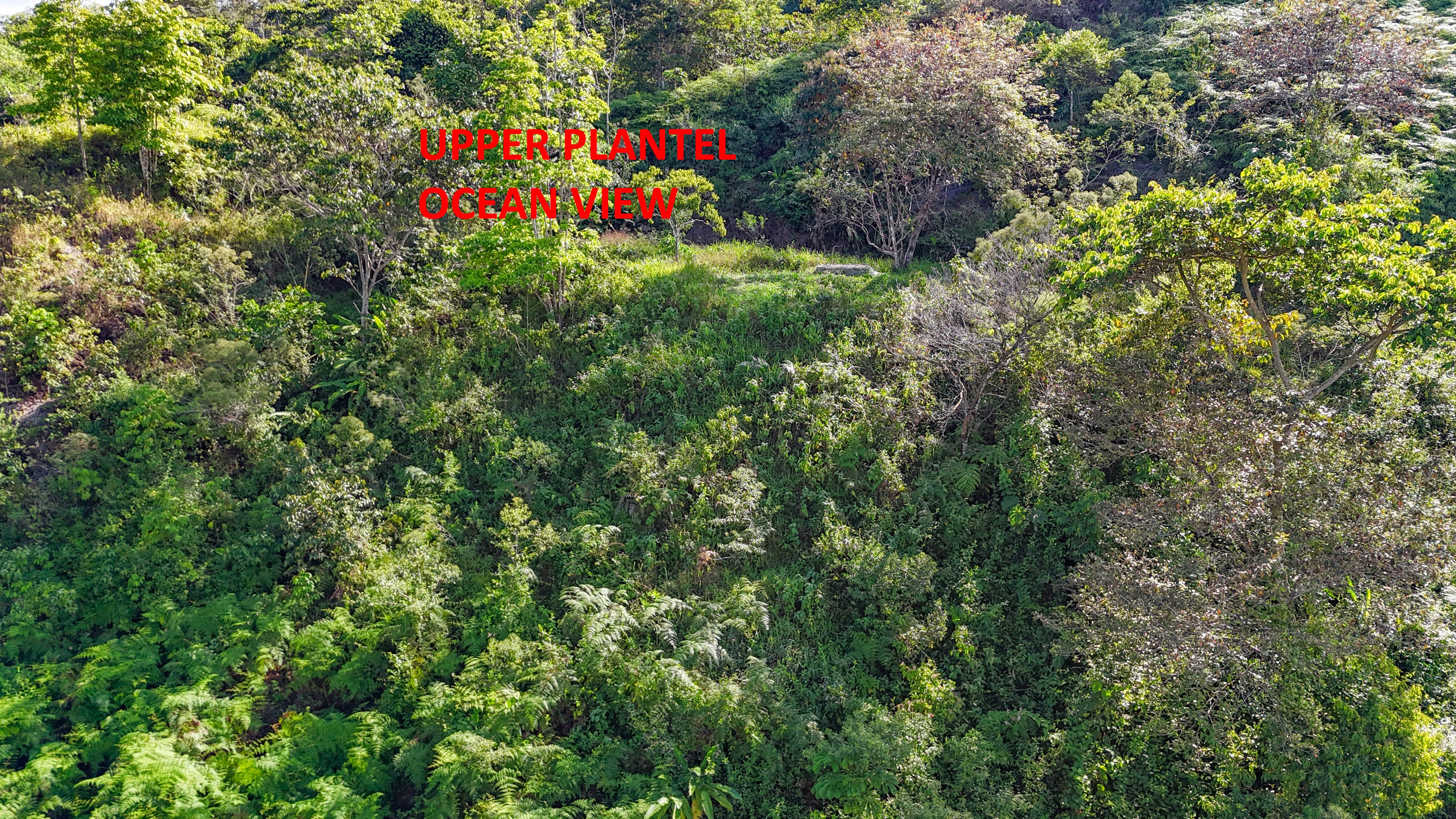 Wellness Property in Tinamastes property photo 3