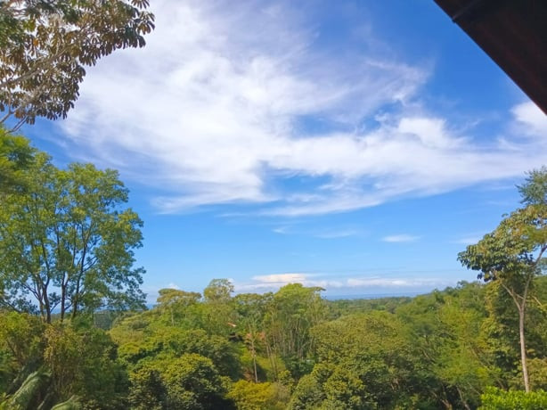 Income-Producing Estate in Uvita property photo 3