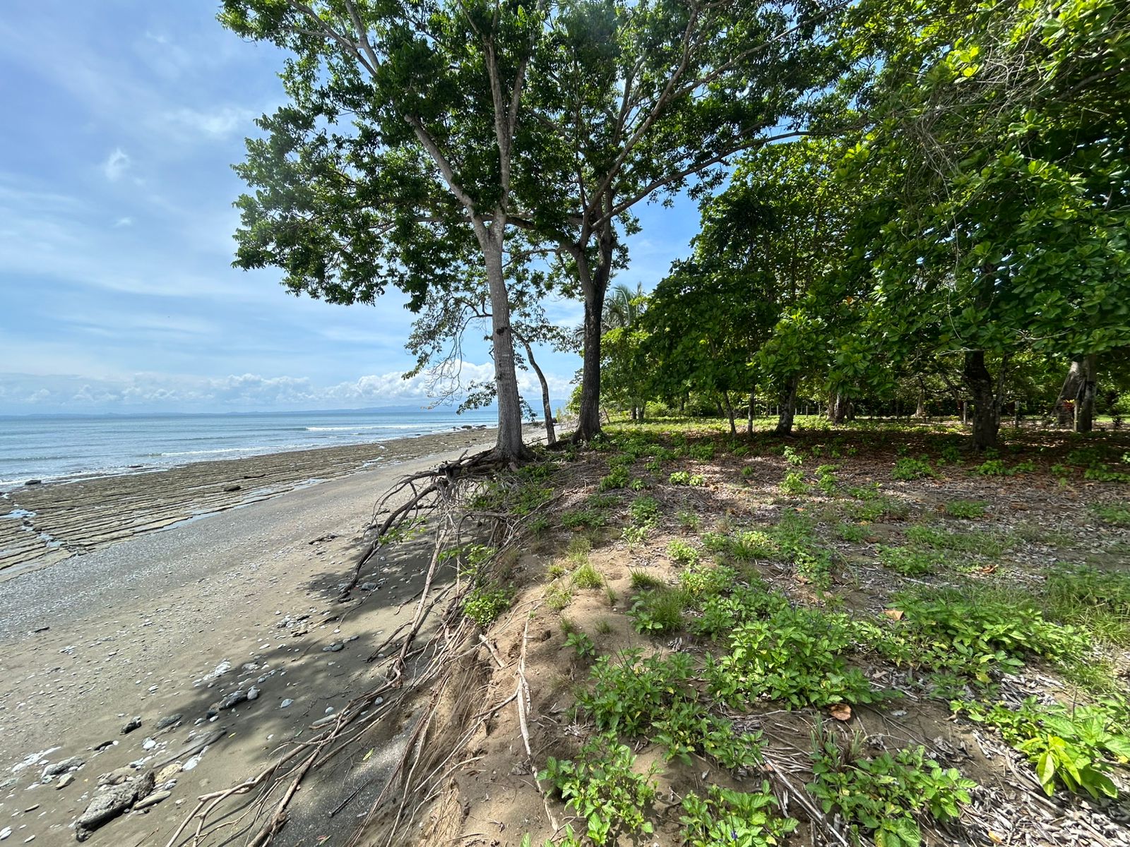 Beachfront Land on Playa Sombrero, Matapalo, Osa property photo 5