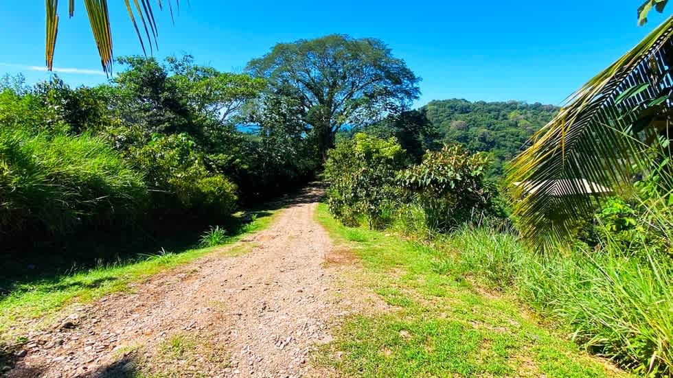 Turnkey Ocean View Villa (Casa Linda Vista) Above Dominical Beach property photo 3
