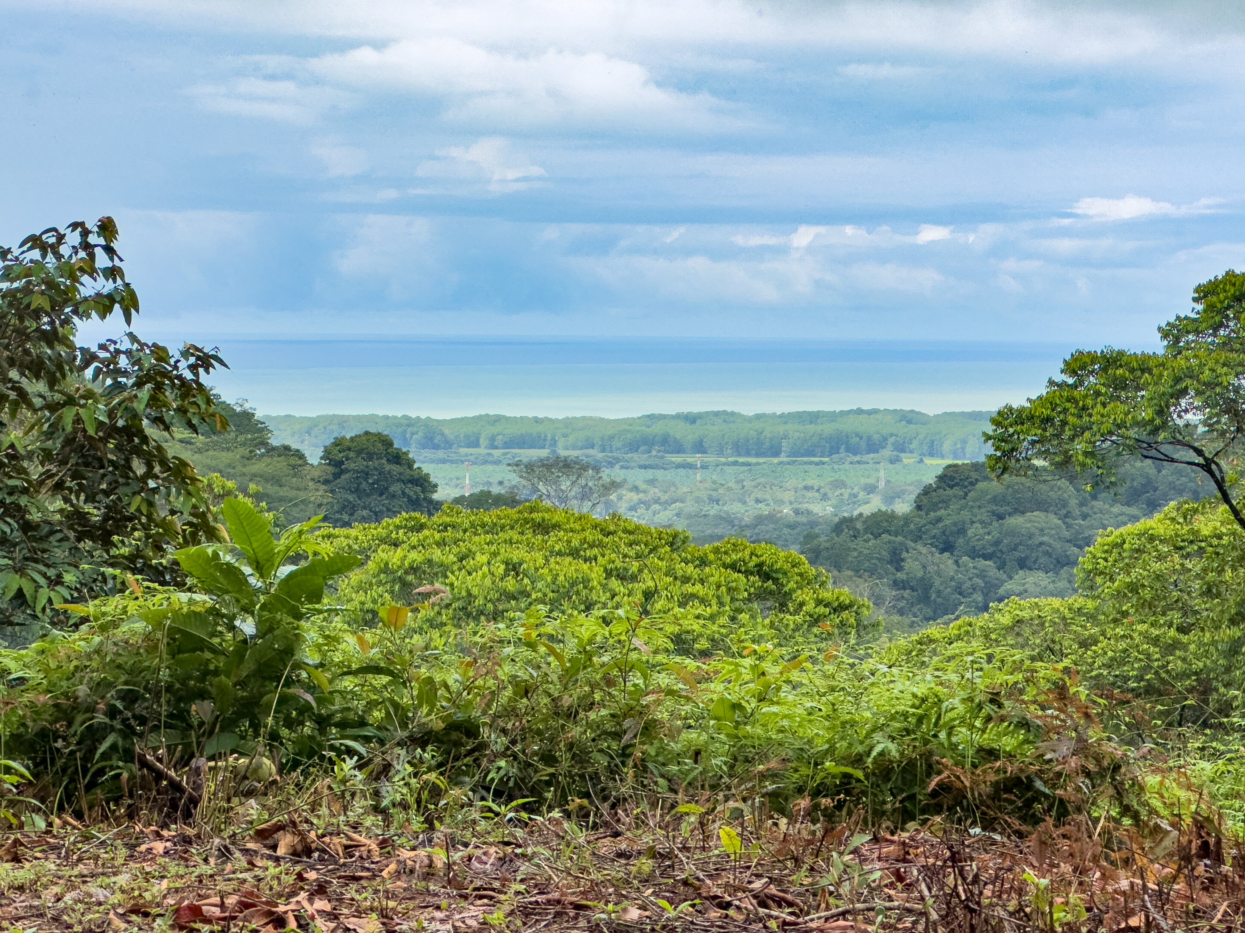 2-Acre Ocean View Ridge Lot in Portalon in Dominical, Costa Rica