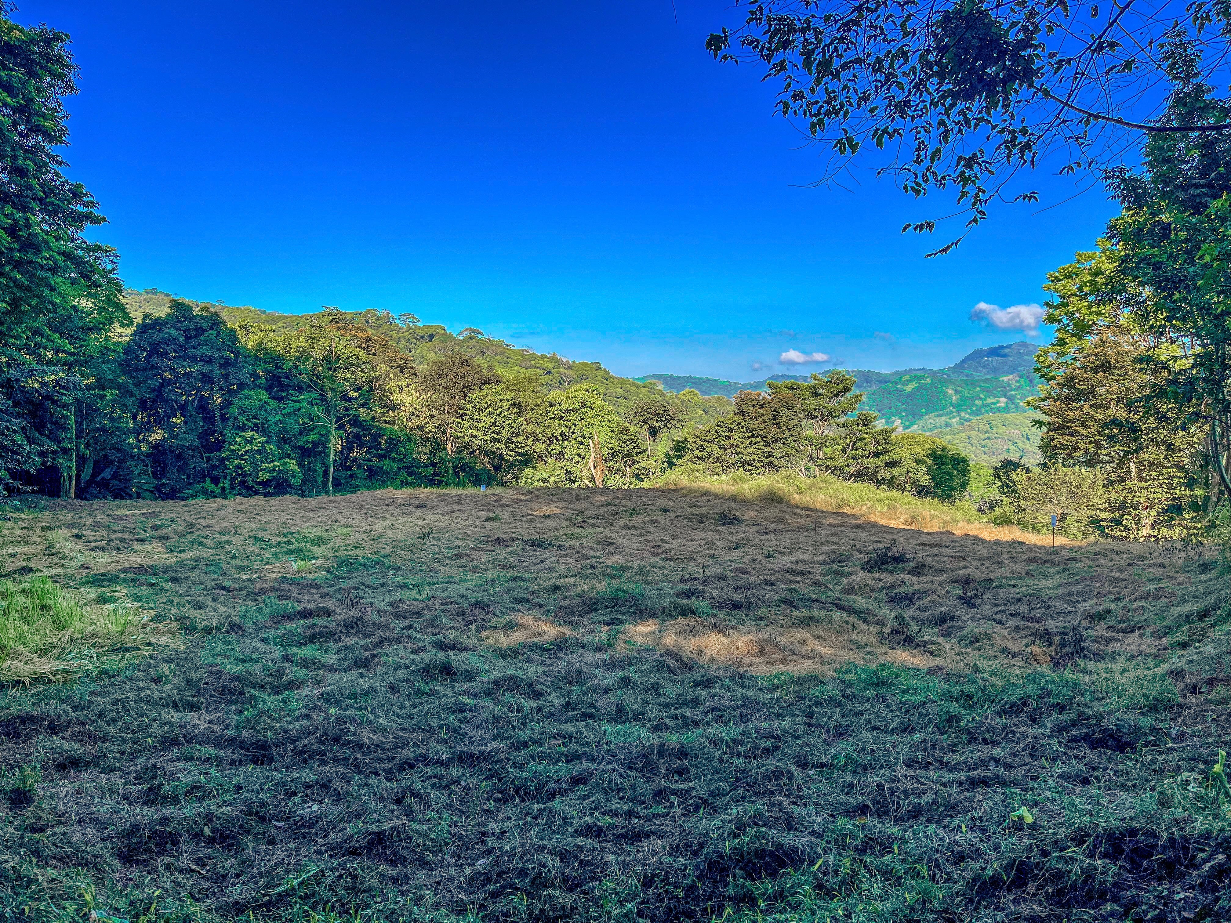 7-Acre Unrestricted Land in Pura Vida Falls, Dominical property photo 2