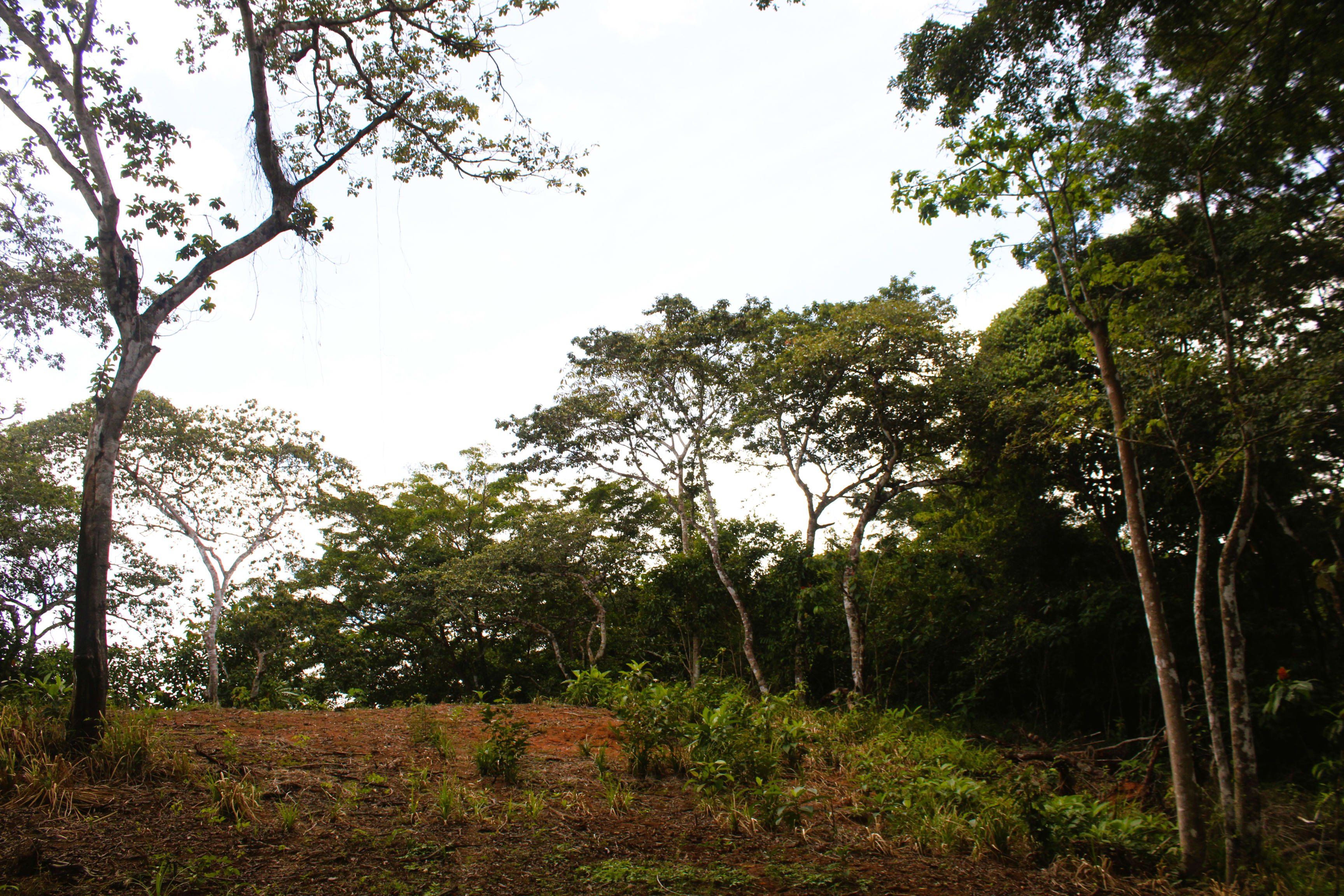 55-Acre Farm in Chontales, Near Ojochal property photo 4