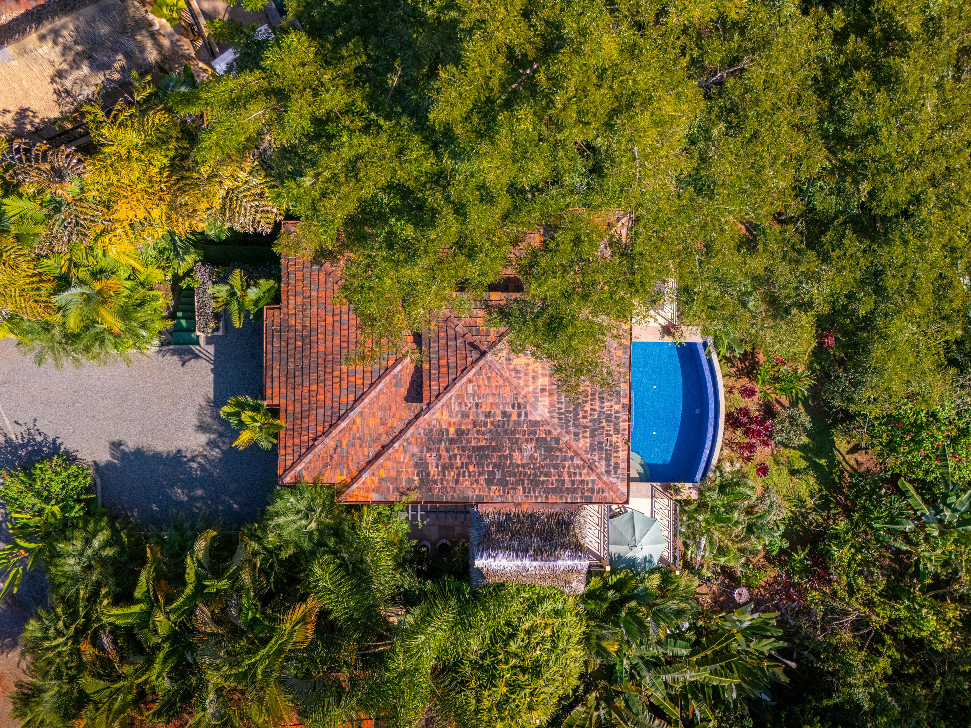 Ocean View Villa (The Flying Monkey) in Canto del Mar, Dominical property photo 2