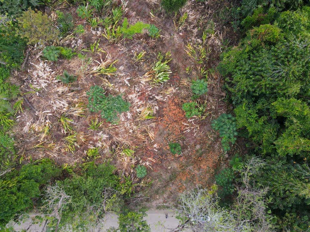 3-Acre Mountain View Lot with River Access and Legal Water in Ojochal property photo 2