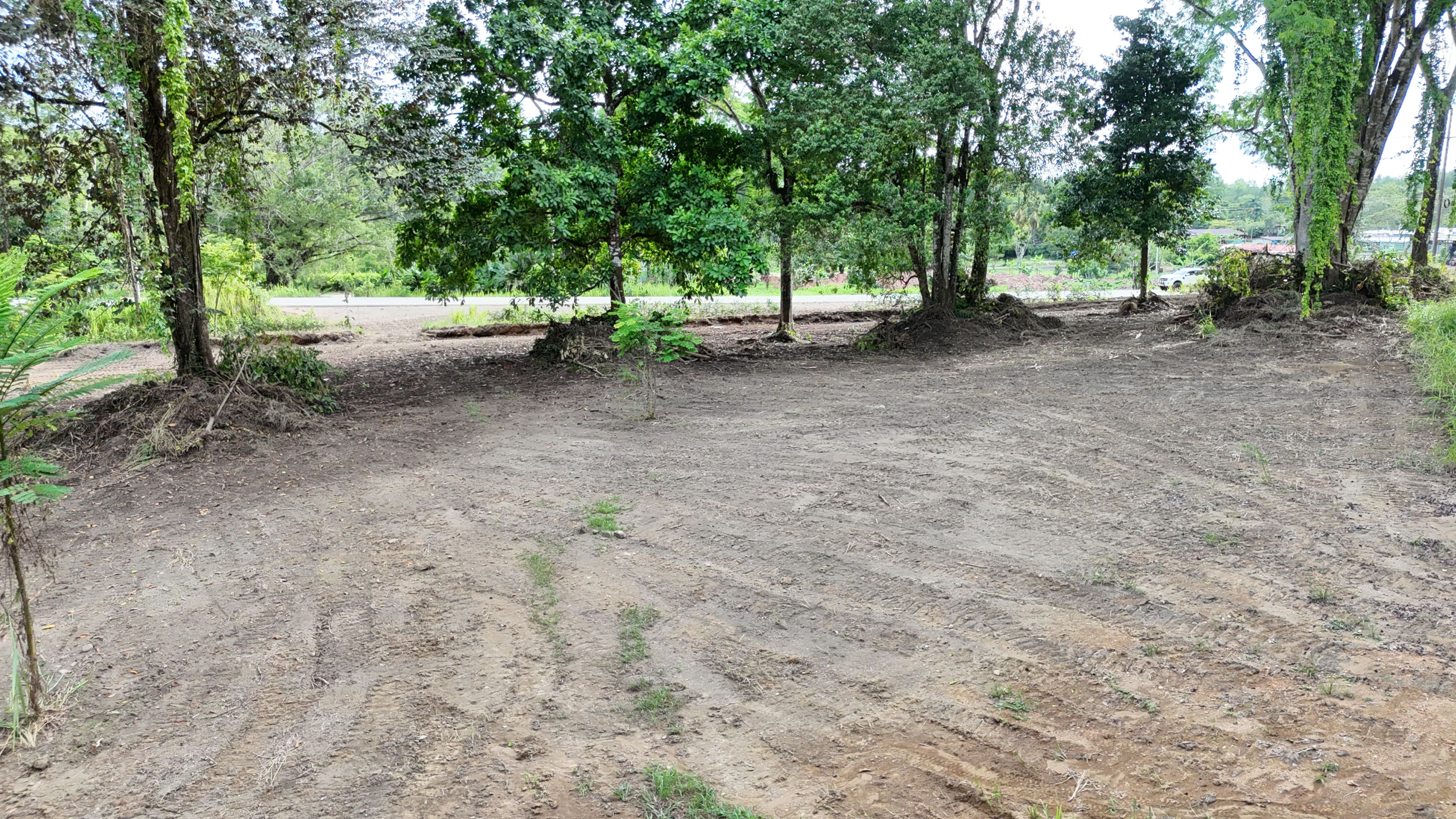 4-Acre Commercial Land on Main Highway, Vergel property photo 3