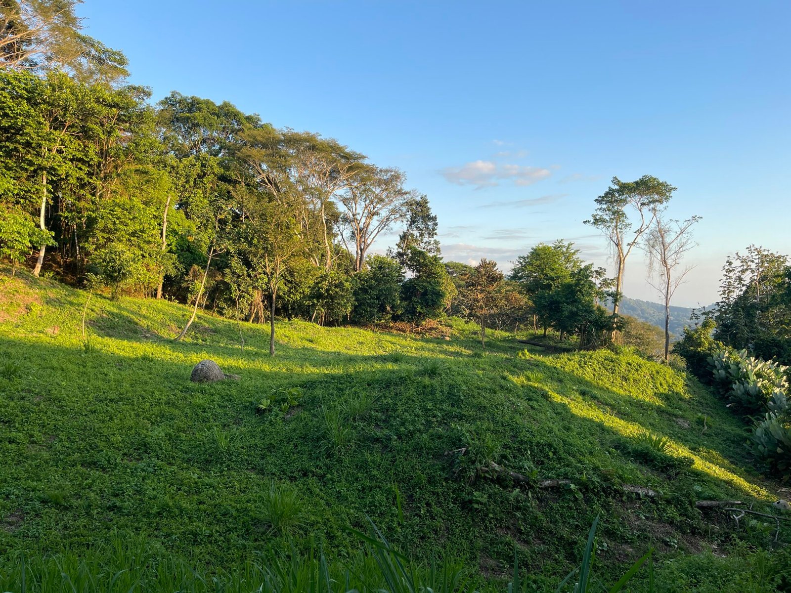4.76-Acre Ocean View Land in Lagunas, Near Dominical property photo 4