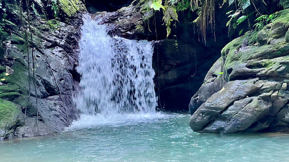 Thumbnail: 123-Acre Mountain Farm in Uvita | River, Waterfalls & Forest