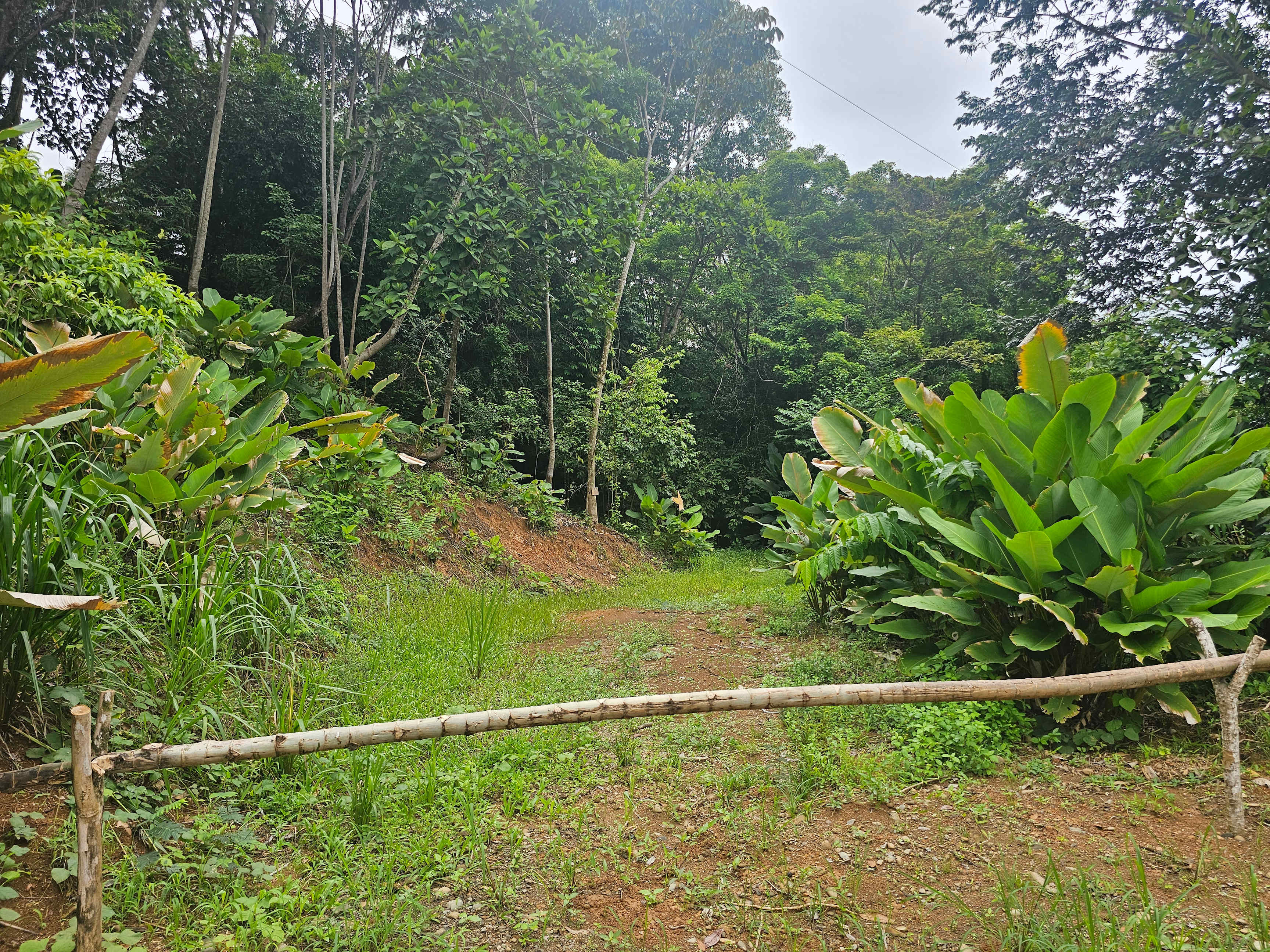 Building Lot Near Playa Hermosa, Uvita in Uvita, Costa Rica