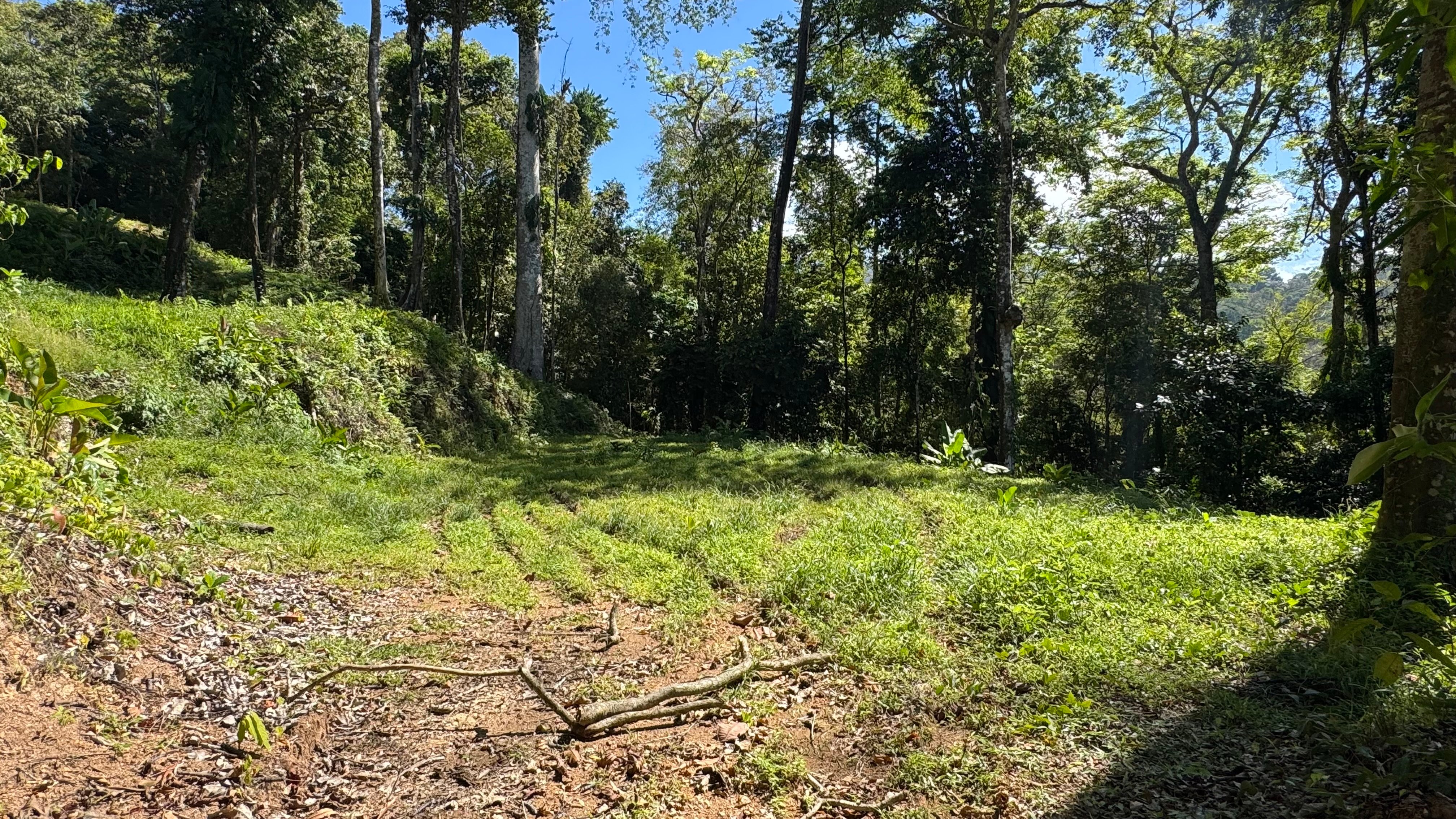 Ocean View Lots on La Union Road, Uvita property photo 4