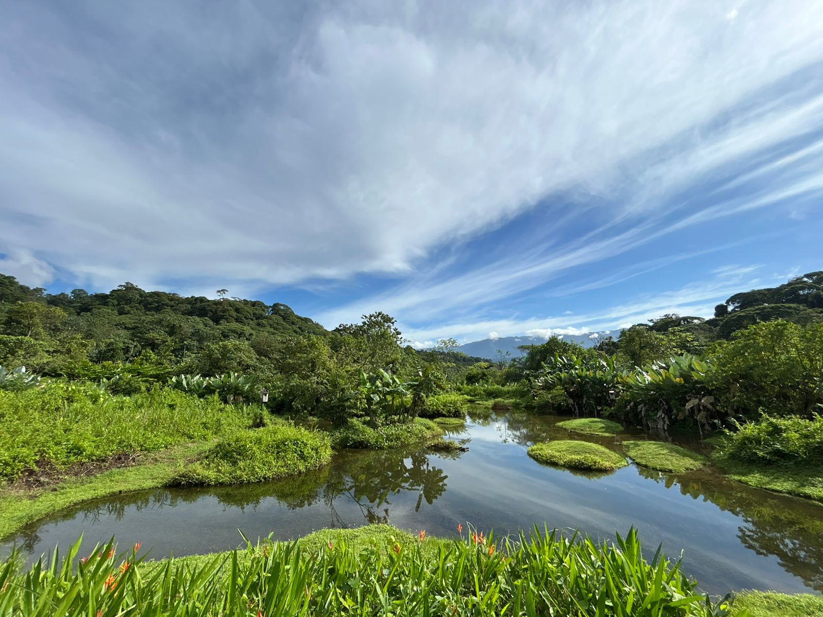60-Acre Eco Estate (The Refugio) in La Gamba property photo 4