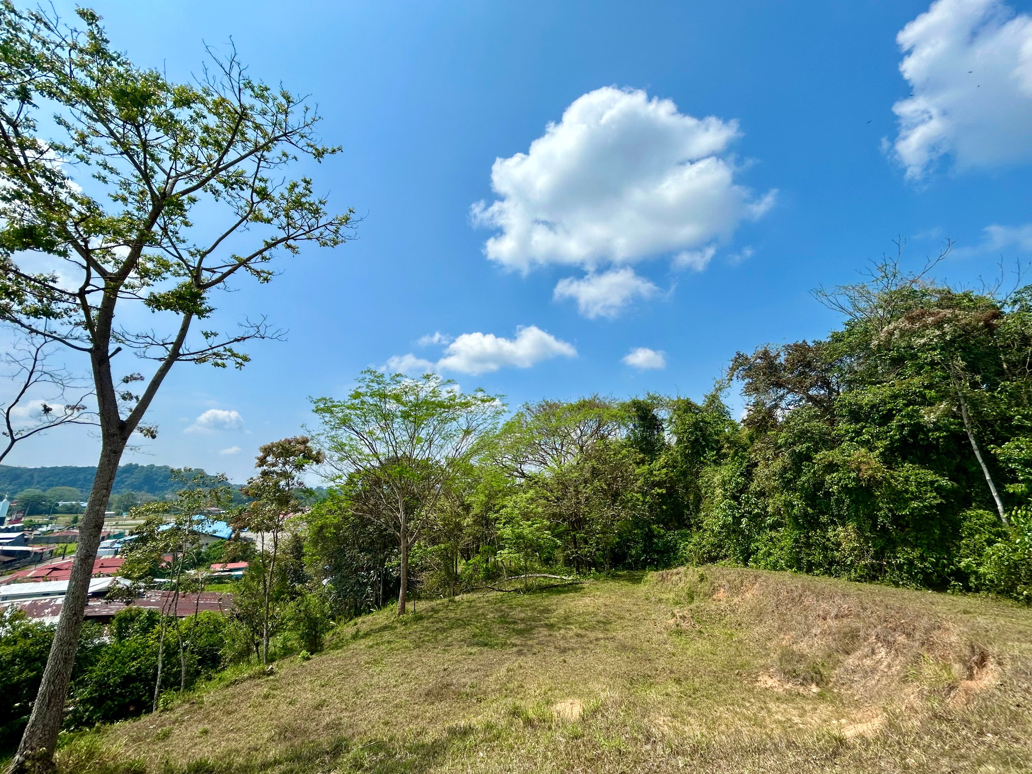 12-Acre Development Land in Barrio Alemania, Palmar Norte property photo 3
