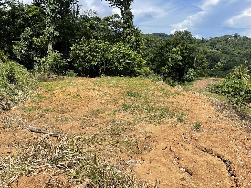 Thumbnail: 15.9-Acre Ocean View Land in Uvita | 3 Parcels