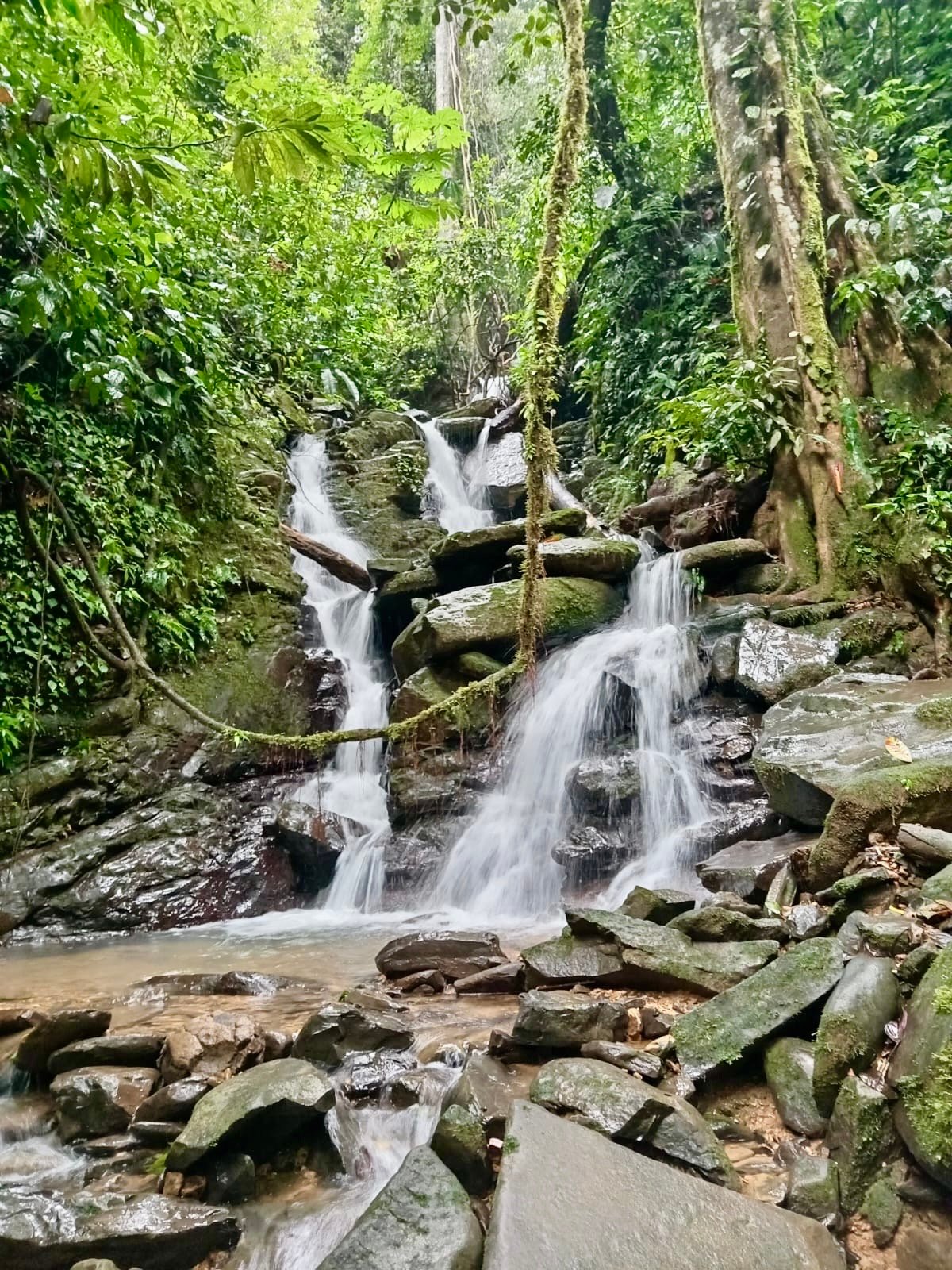 Ocean View Land in the Uvita Mountains with Waterfall Access property photo 4