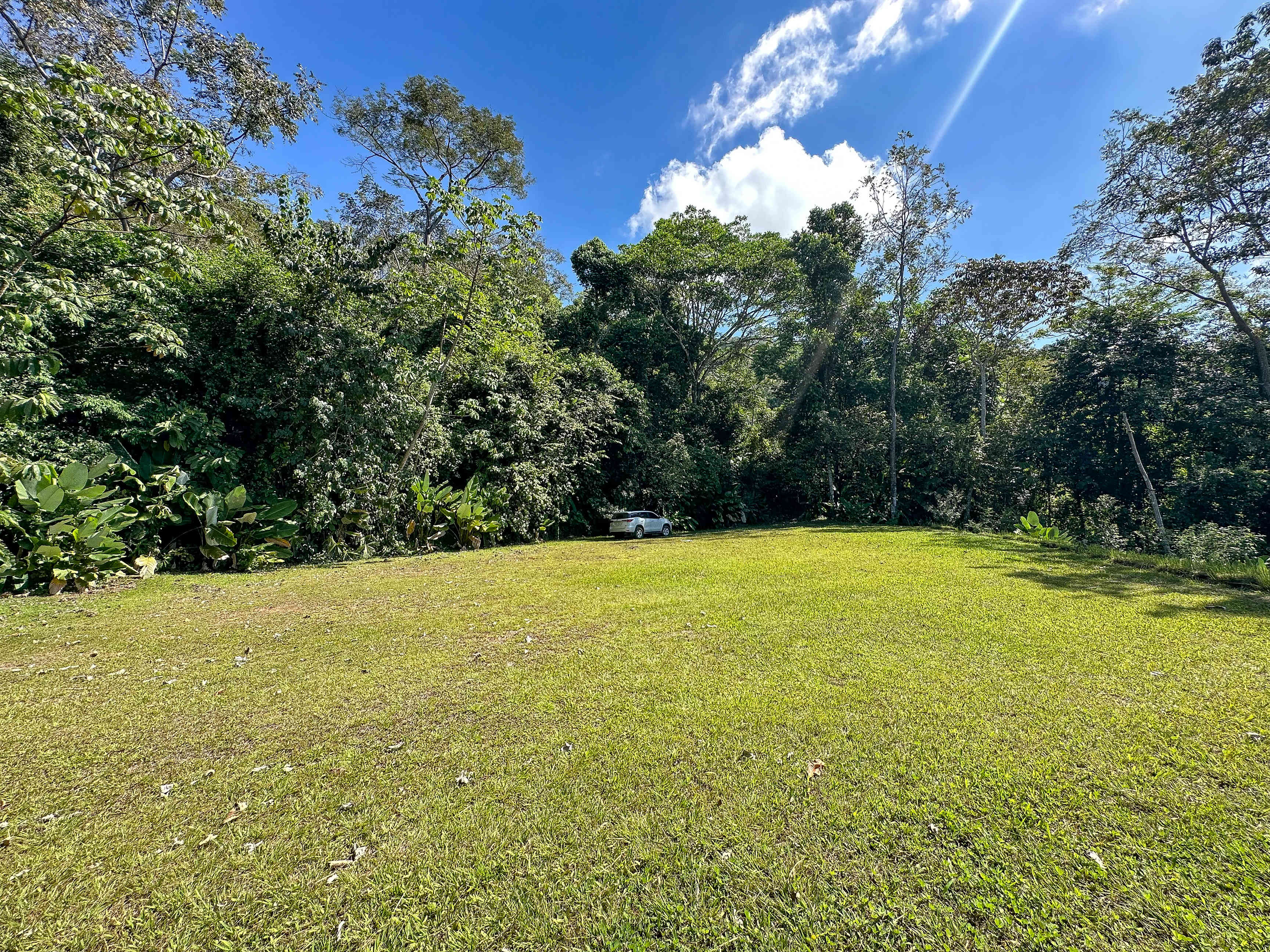 1.5-Acre Jungle Lot in Uvita property photo 3