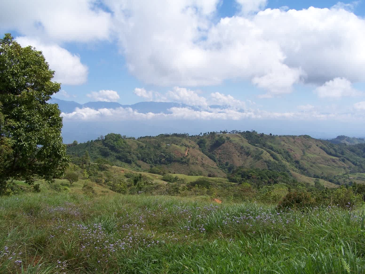79-Acre Ridge Top Farm in Uvita property photo 5