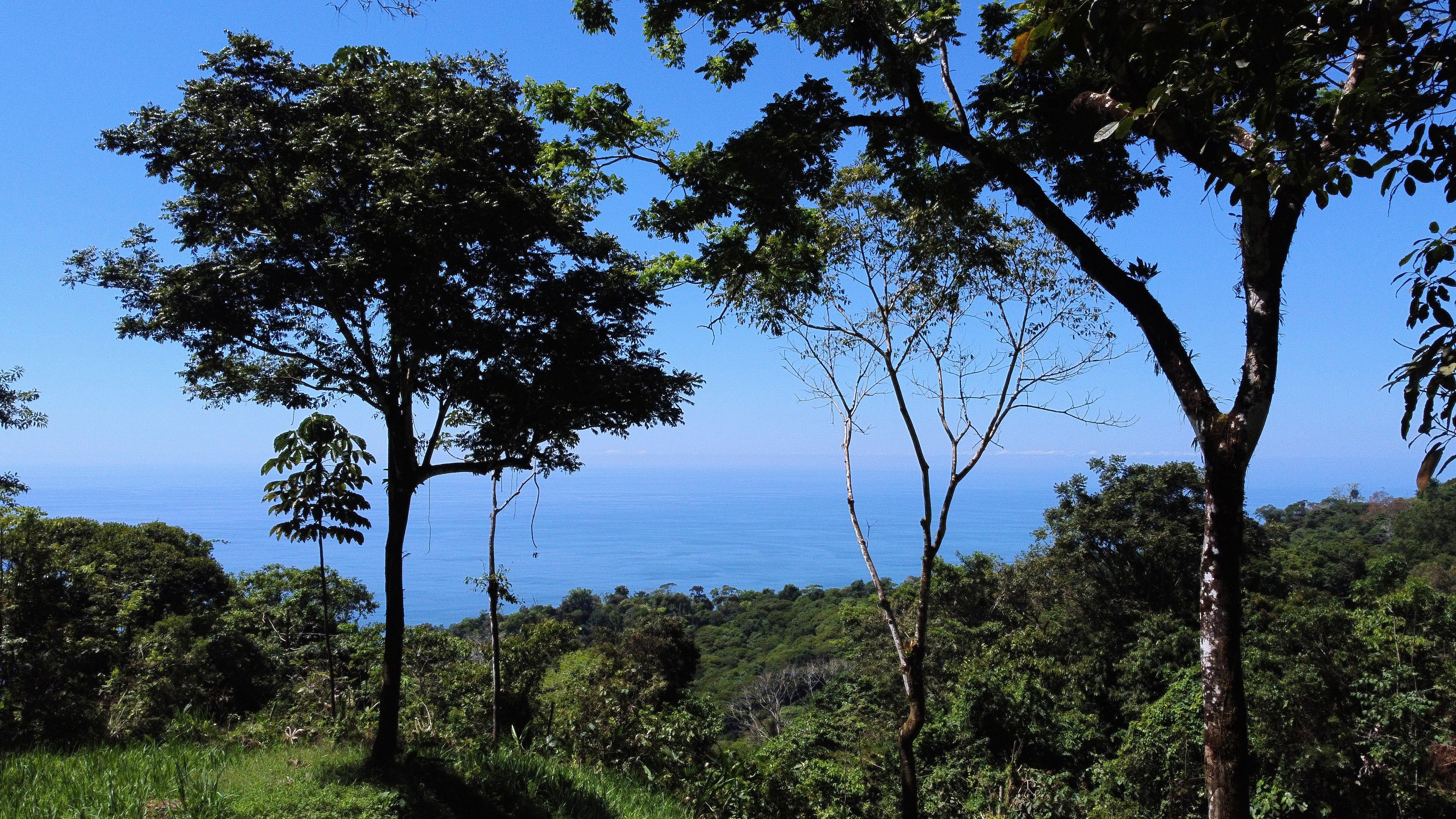 Ocean View Estate Lot (Lot 72) in Costa Verde Estates, Escaleras property photo 4