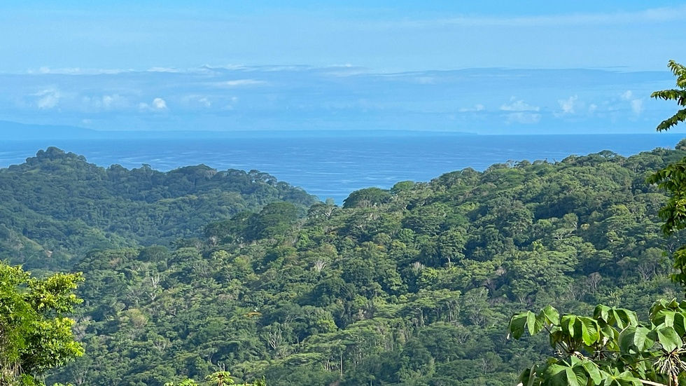 Thumbnail: Ocean View Property with Investment Potential in Lagunas