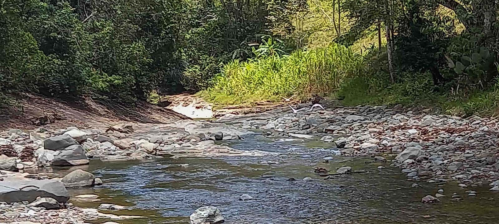 84-Acre Farm on the Rio Morenos, Near Platanillo in San Isidro, Costa Rica